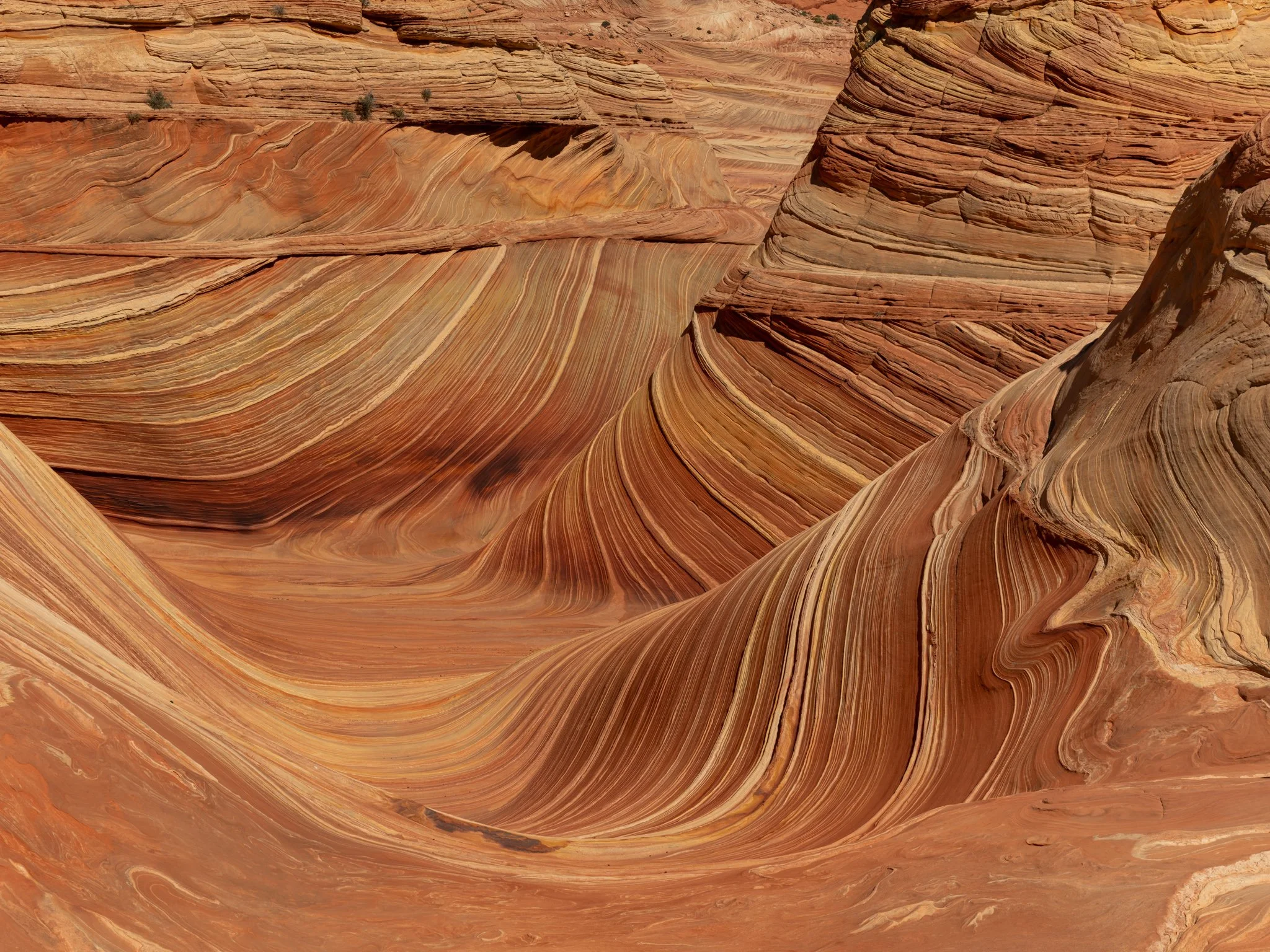 The Wave, Vermillion Cliffs National Monument, AZ