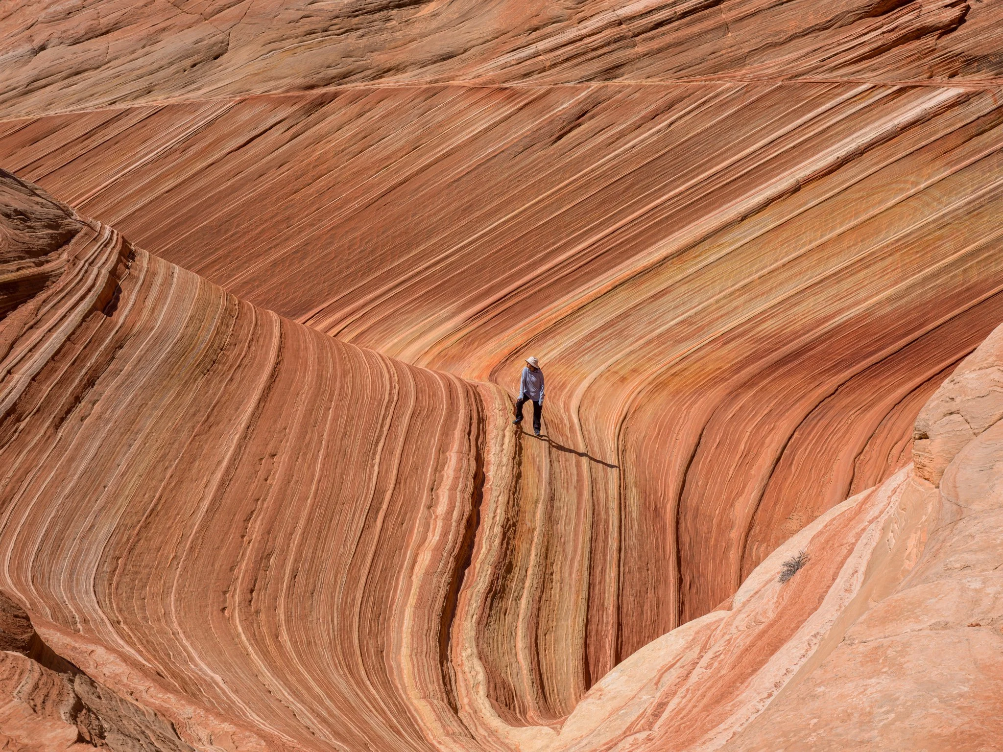 The Wave, Arizona