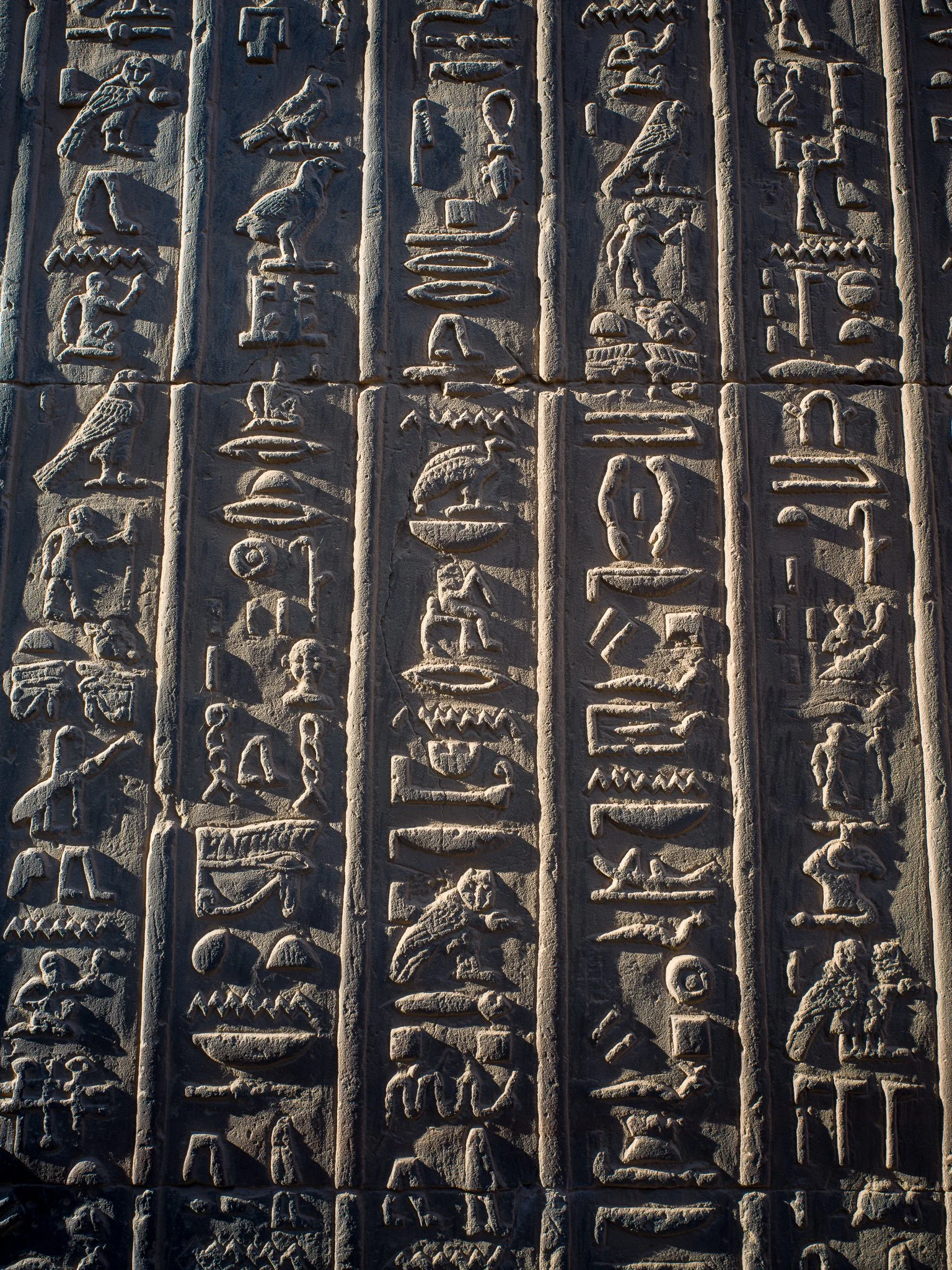 Hieroglyph, Temple of Kom Ombo