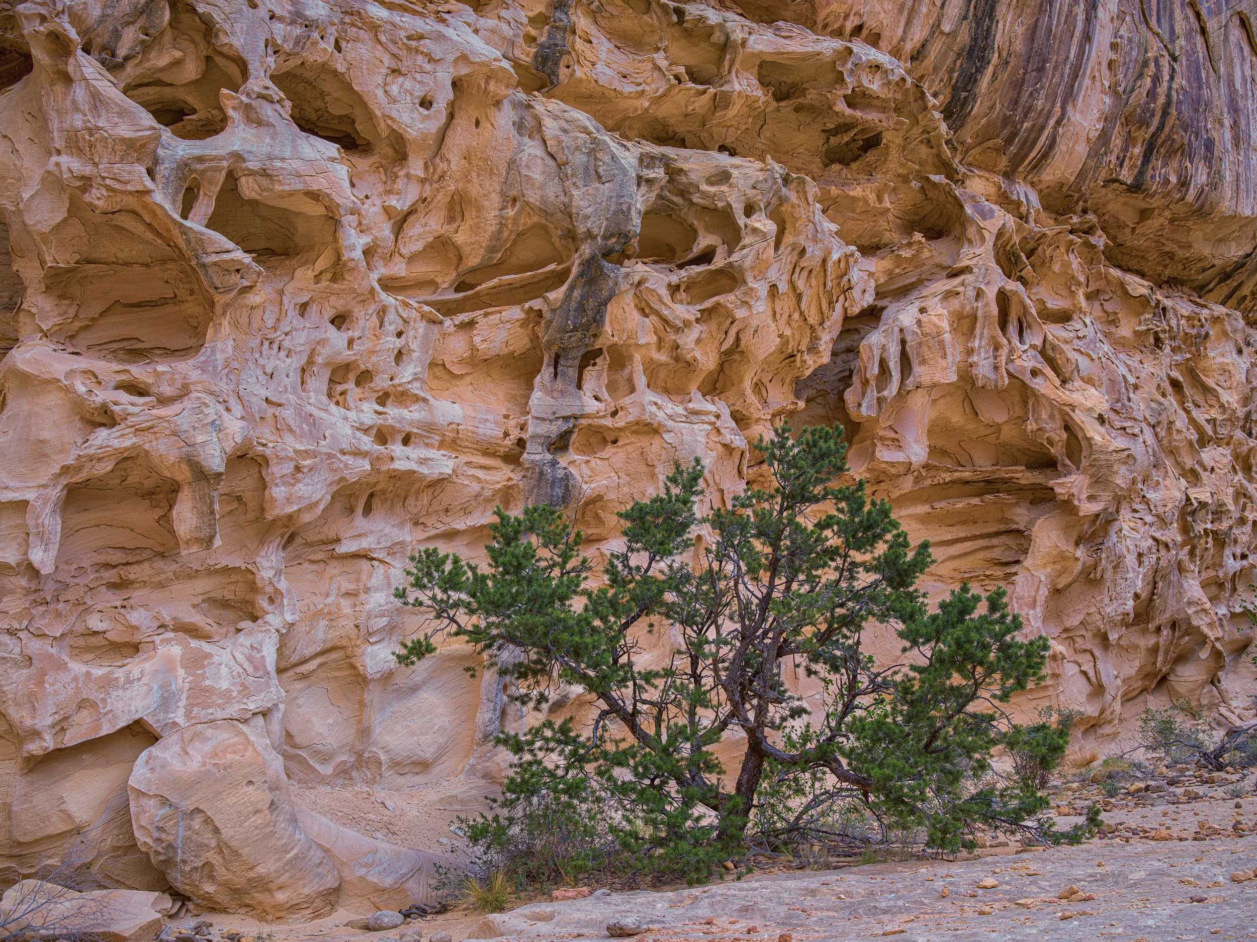 Crack Canyon.