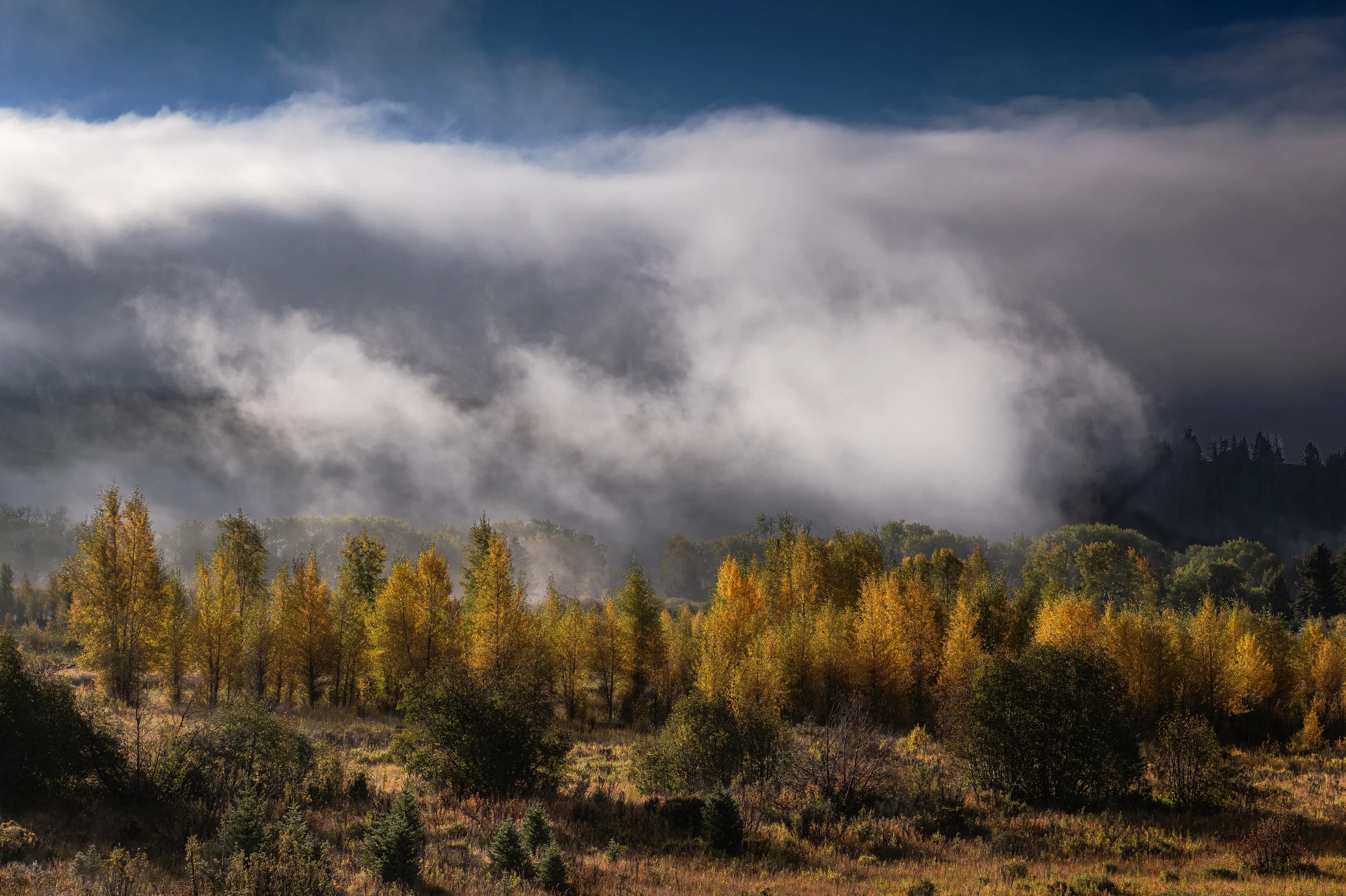 Along the Gros Ventre River, Wyoming