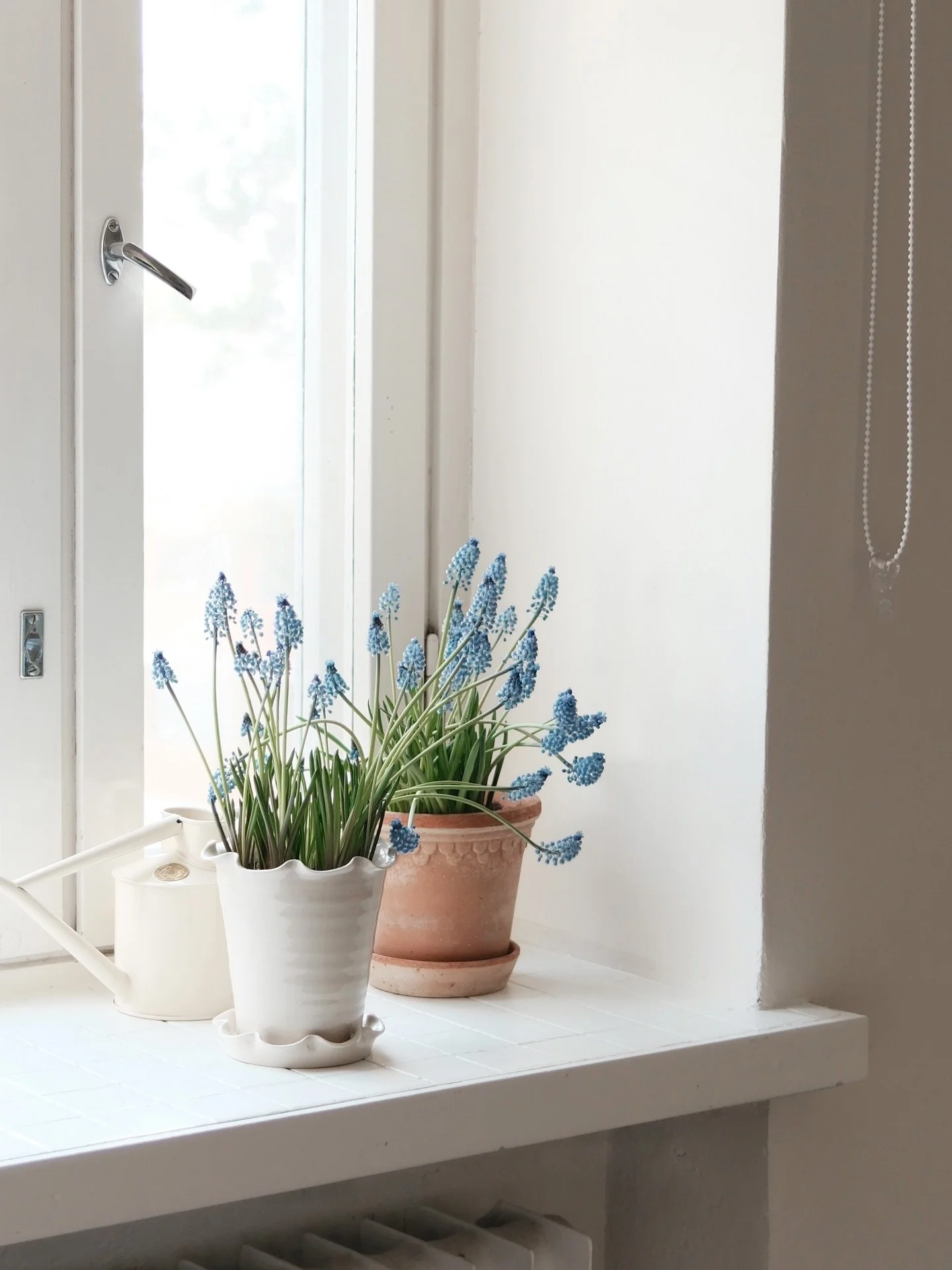 Flowers are my forever inspiration. This little collection is called 𝘚𝘱𝘳𝘪𝘯𝘨 𝘪𝘴 𝘫𝘶𝘴𝘵 𝘢𝘳𝘰𝘶𝘯𝘥 𝘵𝘩𝘦 𝘤𝘰𝘳𝘯𝘦𝘳 🌱

__
#thingsdelighted #springhome