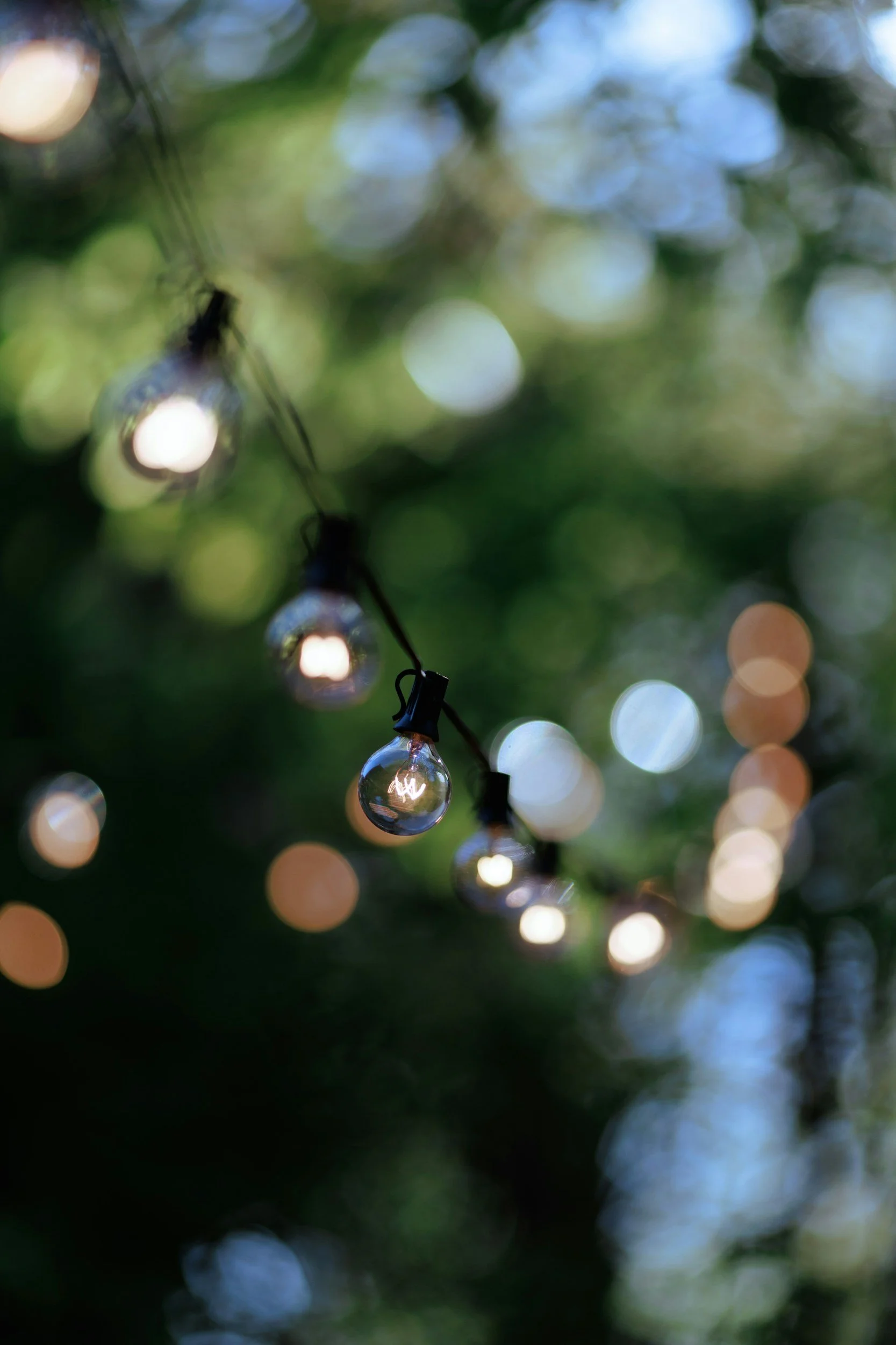 celebrations and styling in Fort Collins