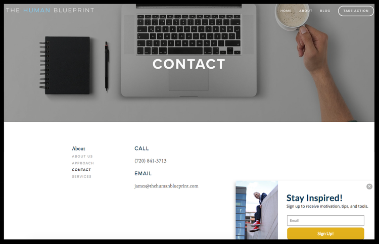 Denise+Faddis+Design (2).webp