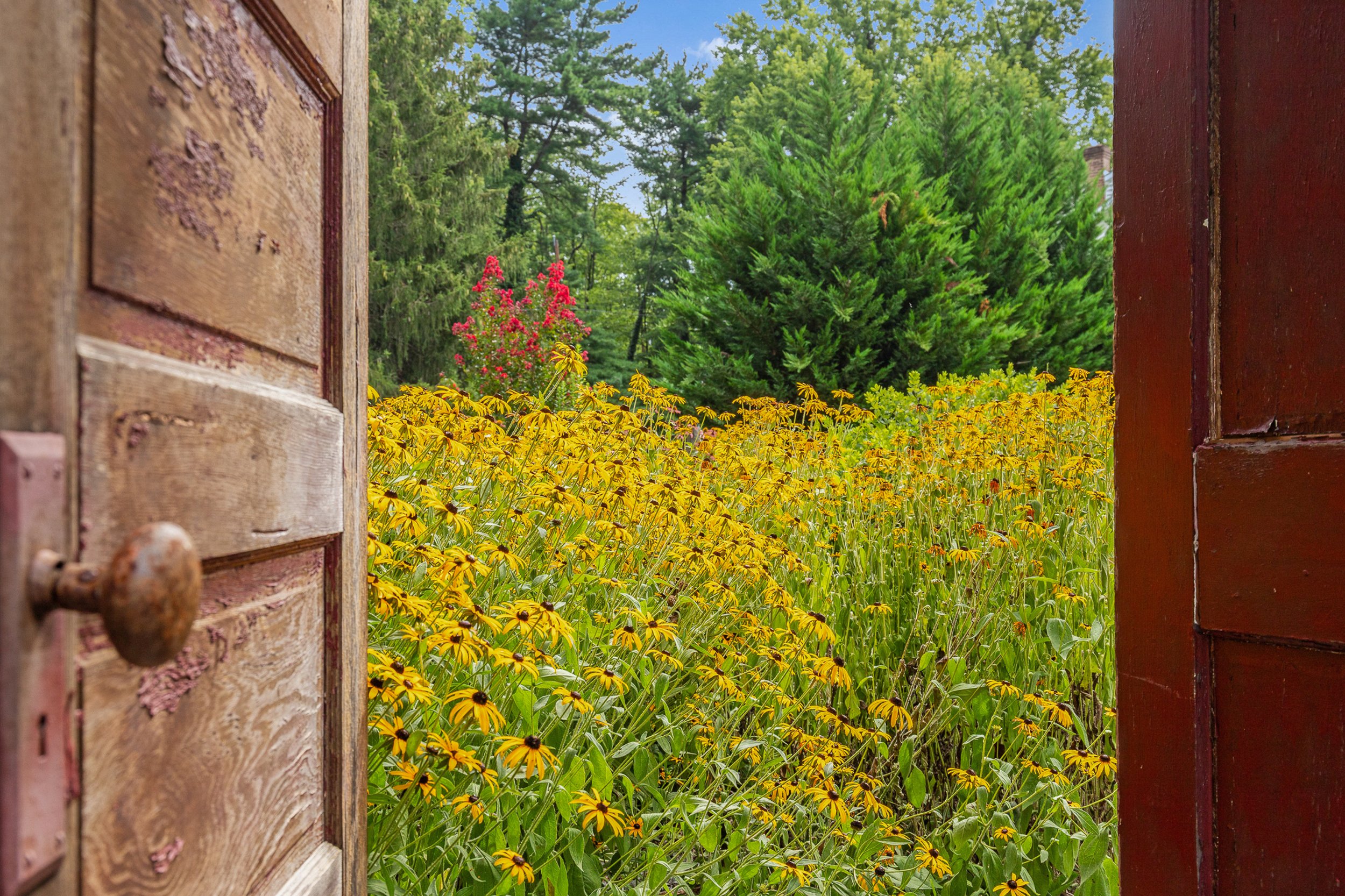 Professional exterior real estate photography for agents in Martinsburg WV