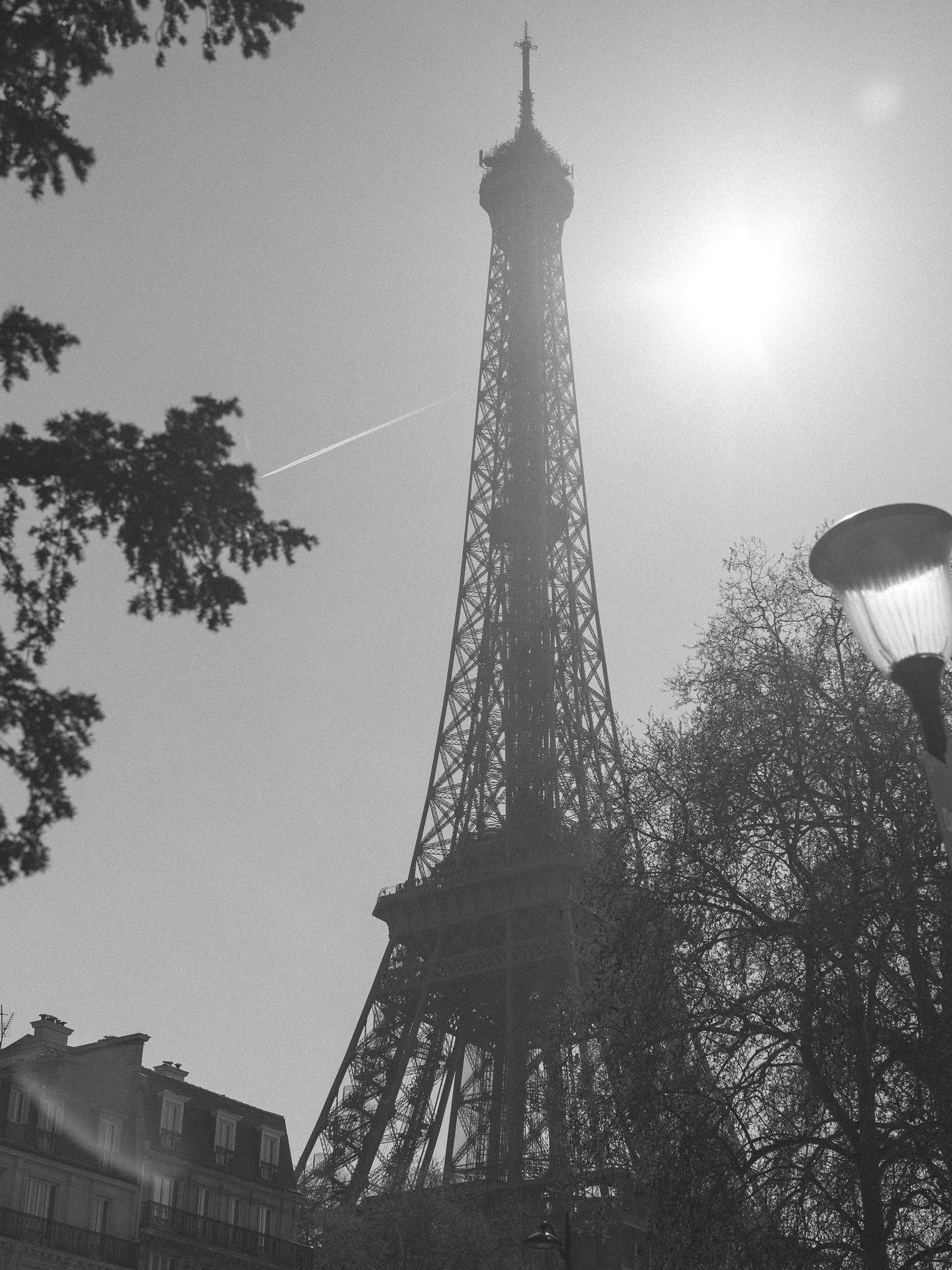 _DSF6387.jpg