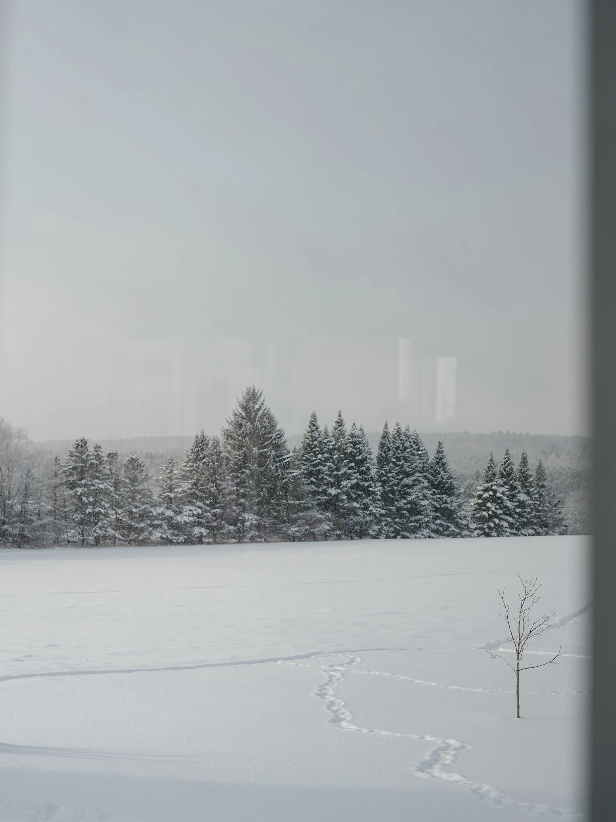 _DSF5367-2.jpg
