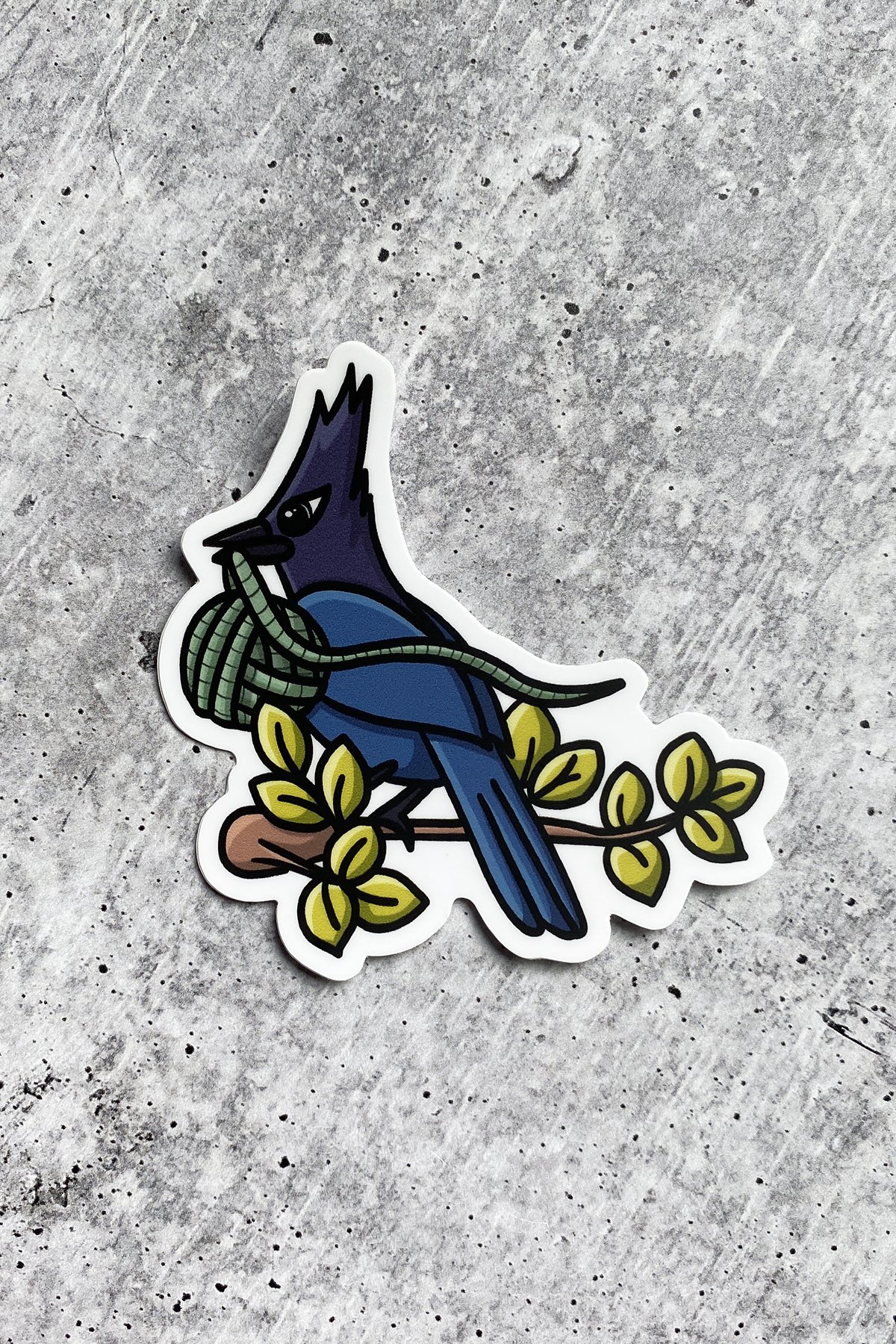 Stellar's Jay Sticker