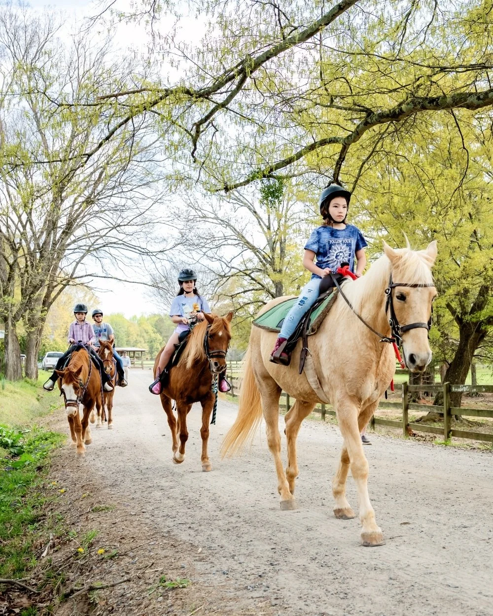 Anne Springs Stables Horseback Riding