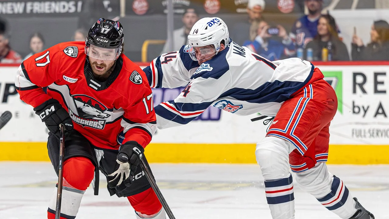 Charlotte Checkers Hockey