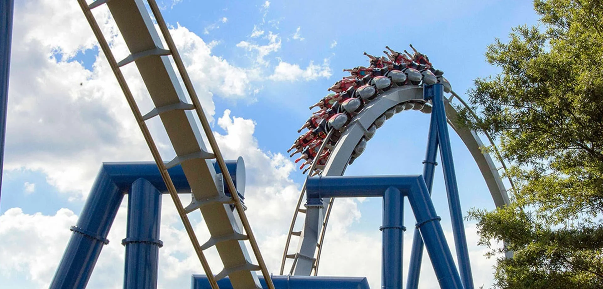 Carowinds Amusement Park