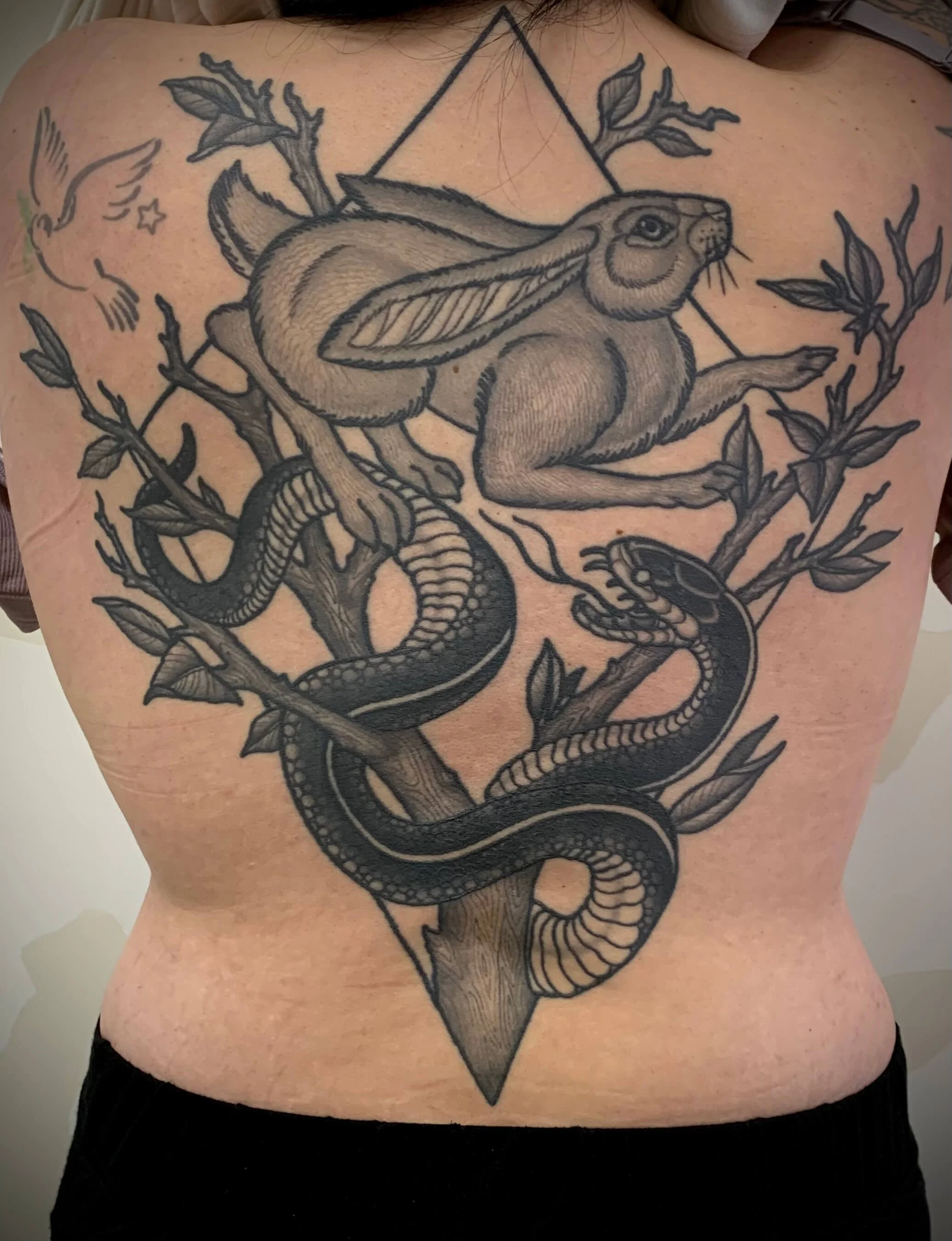 healed-hare-snake-back-linework-back-tattoo.jpg