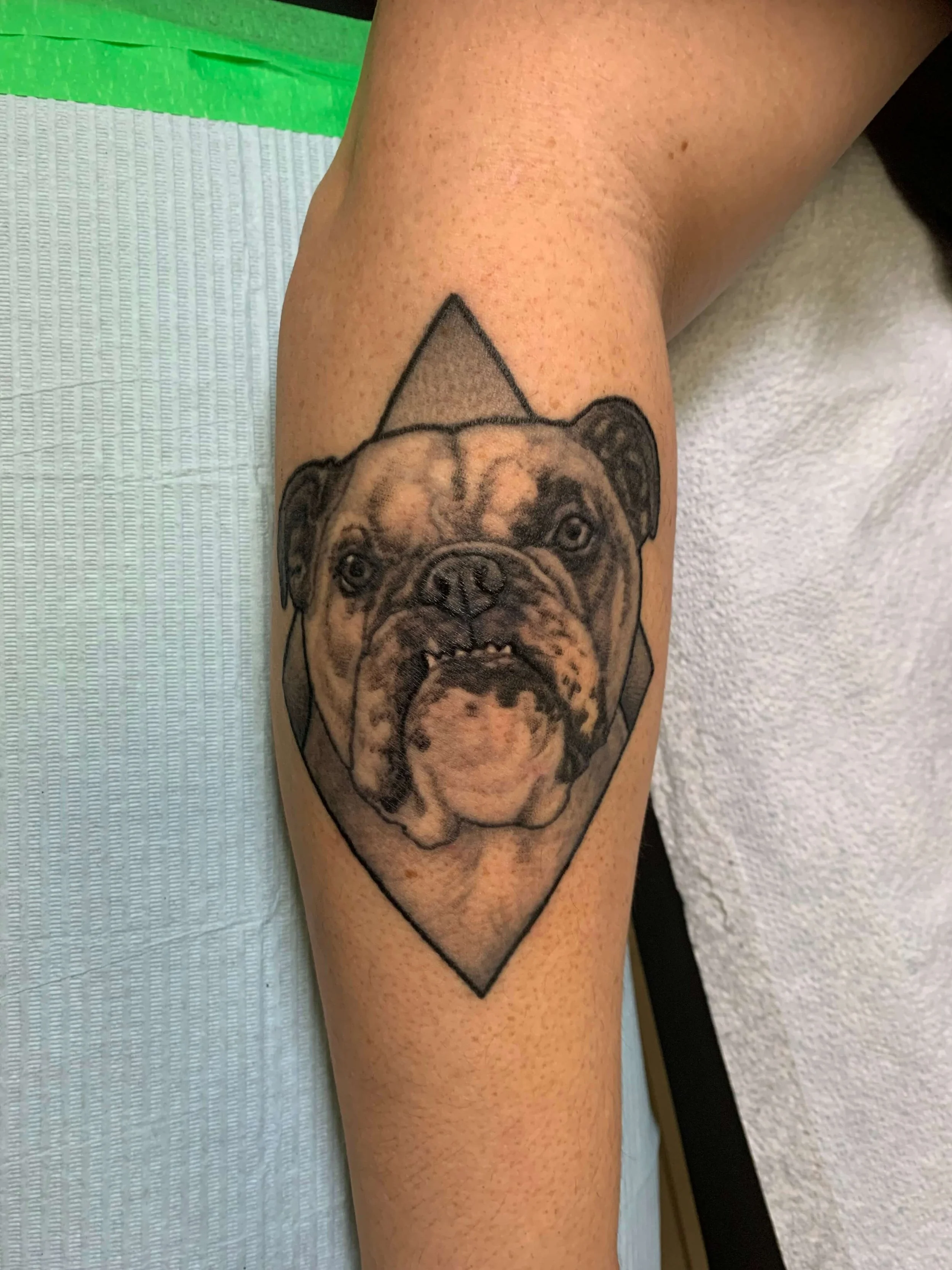 healed-bulldog-portrait-tattoo.jpg