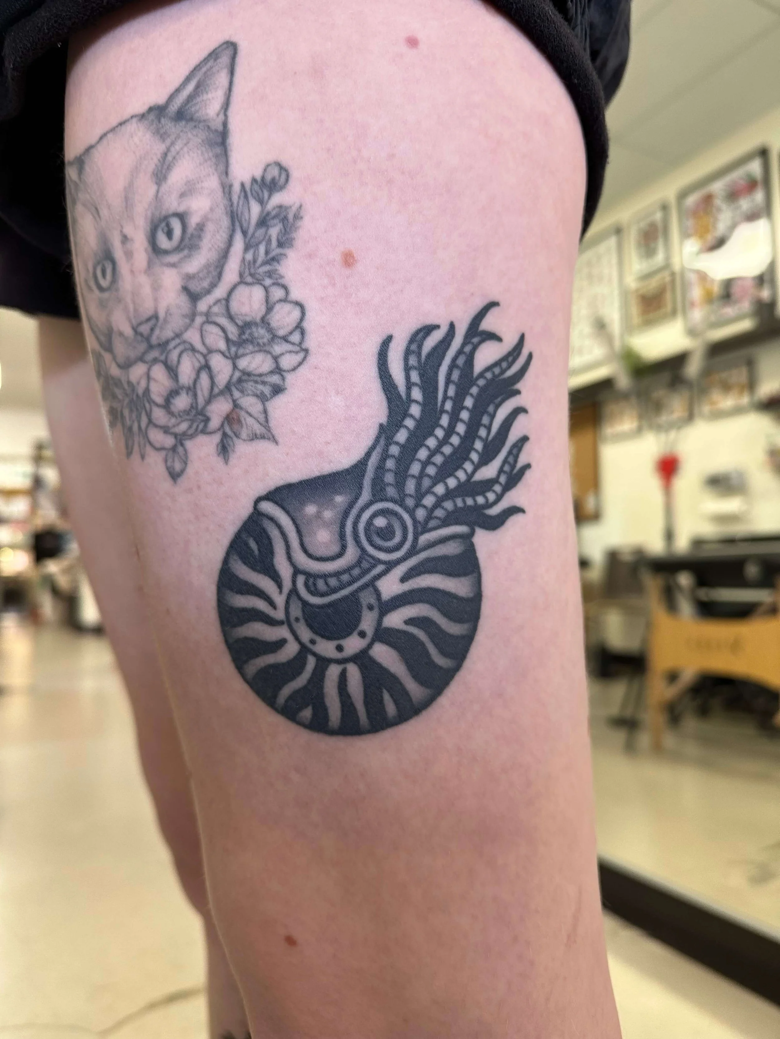 healed-nautilus-tattoo.jpg
