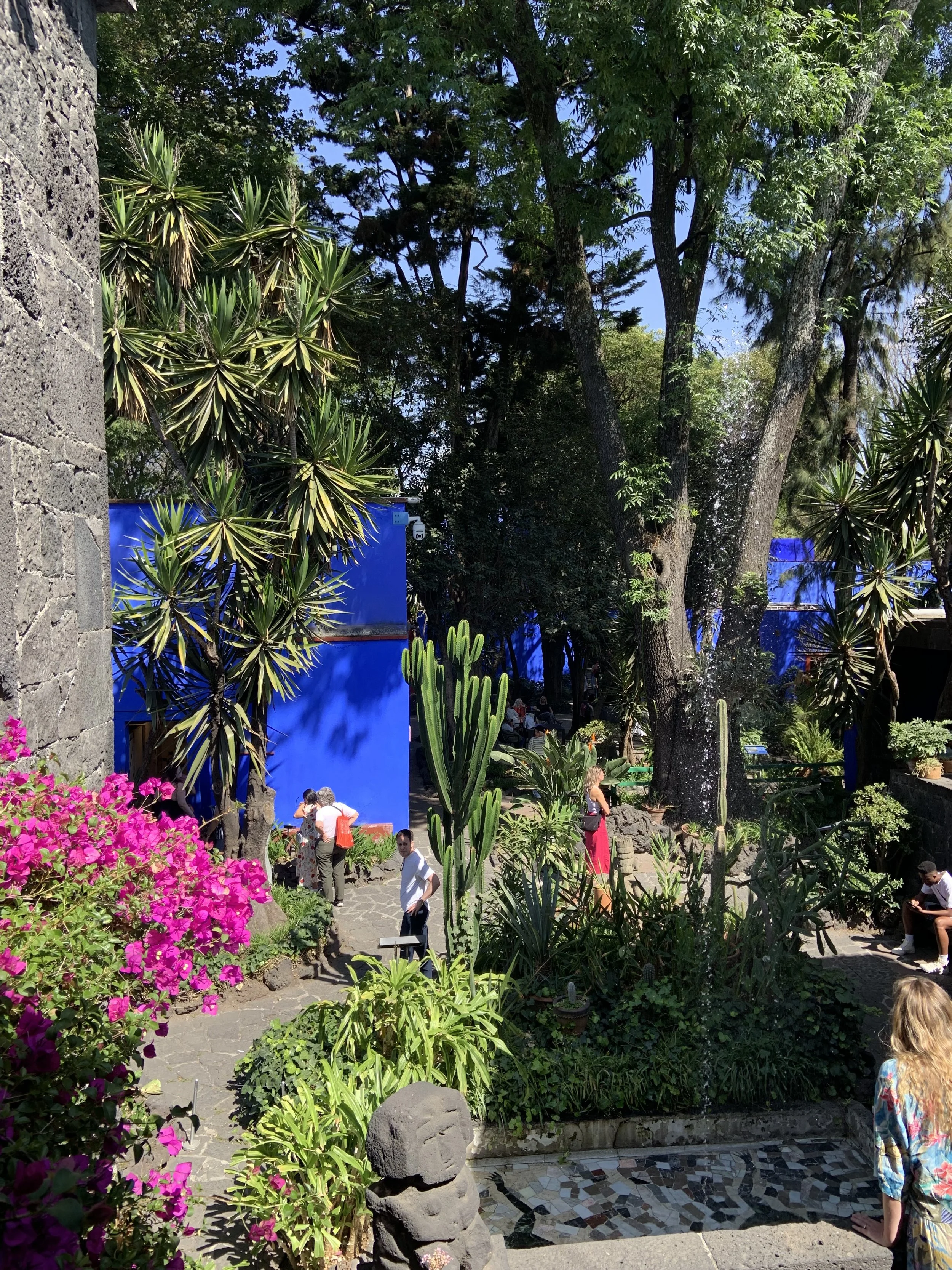 IMG_7286.jpeg