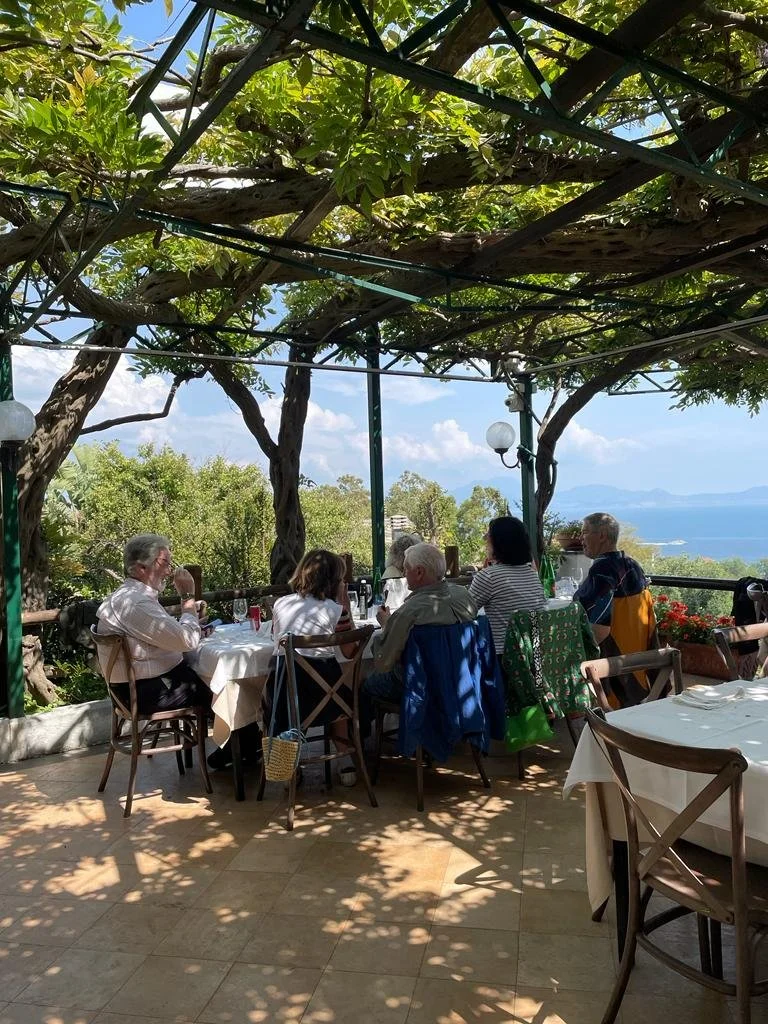 Group Lunch Under Pergola Rosiello.JPG