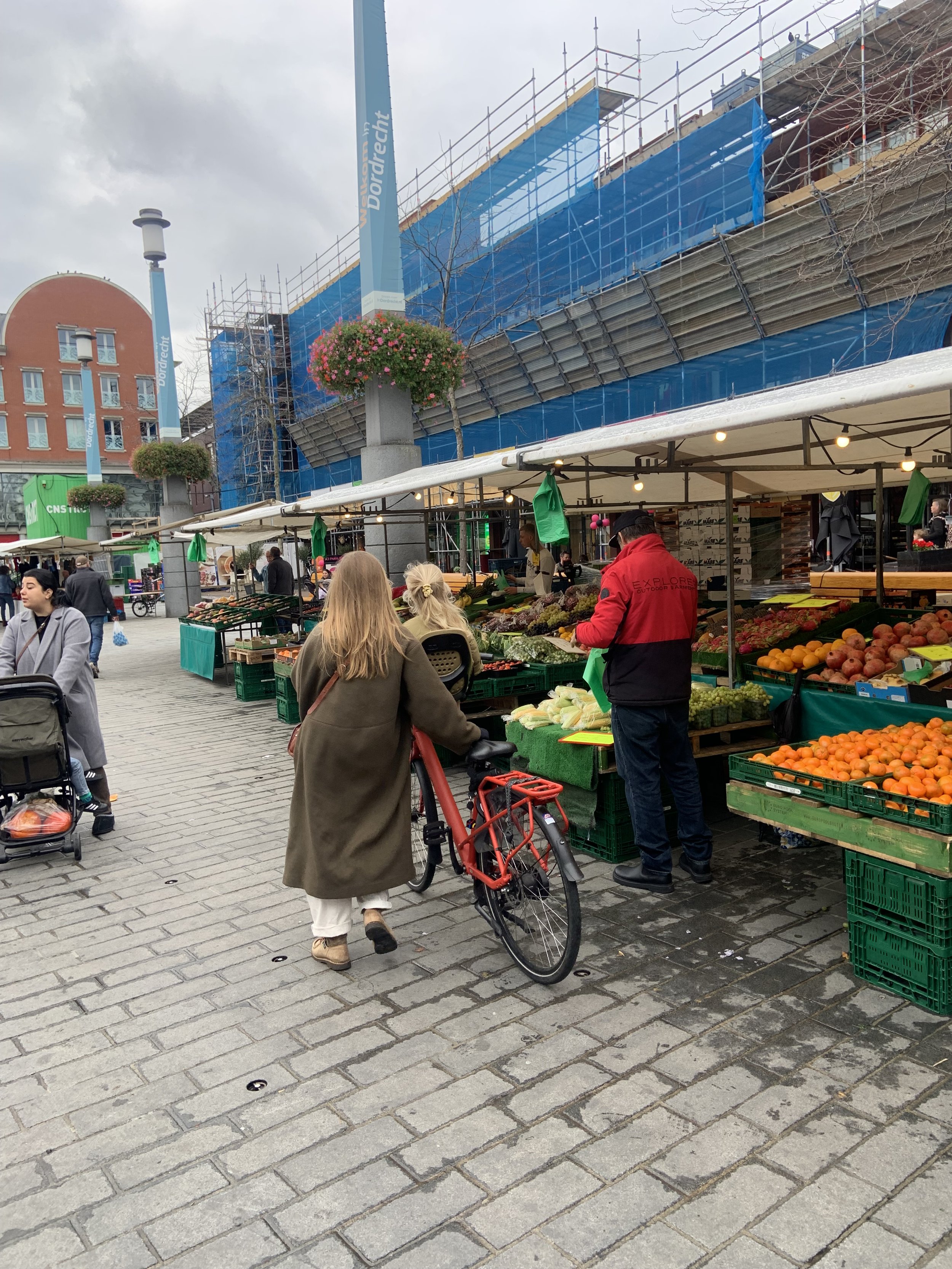 IMG_6557.jpeg