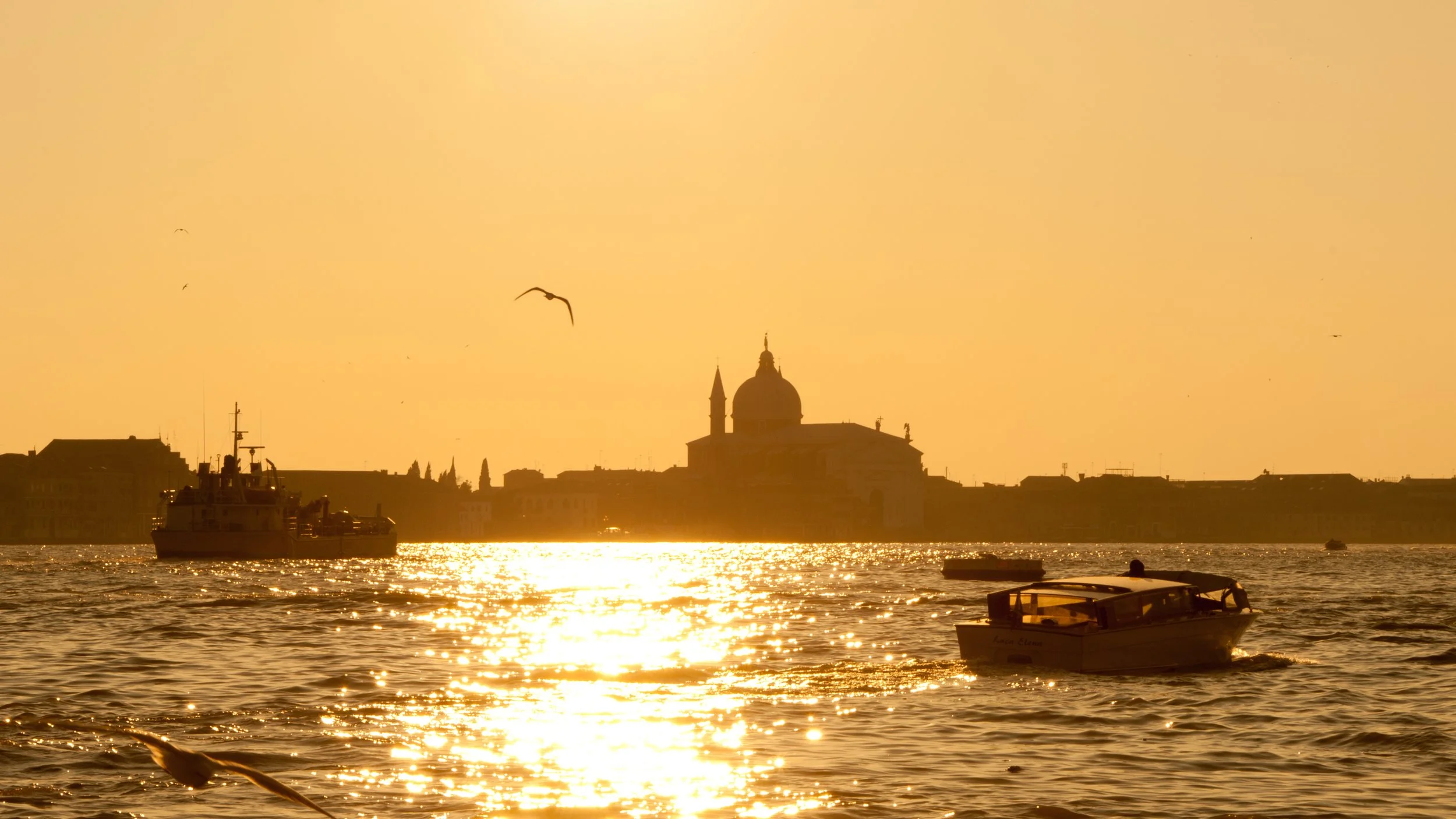 Venice Lagoon Gold.jpg