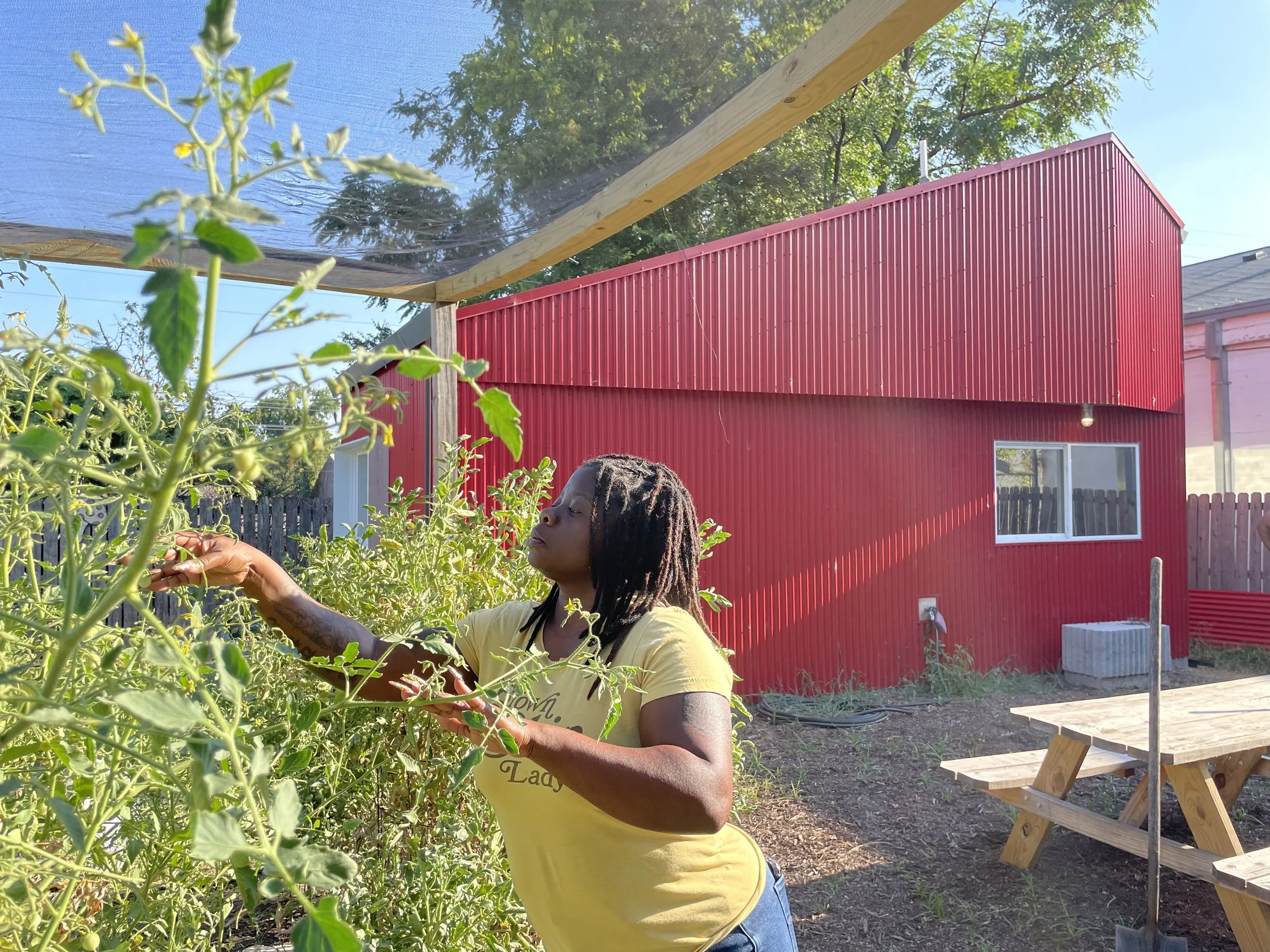 Dolphin Heights Garden Cottage