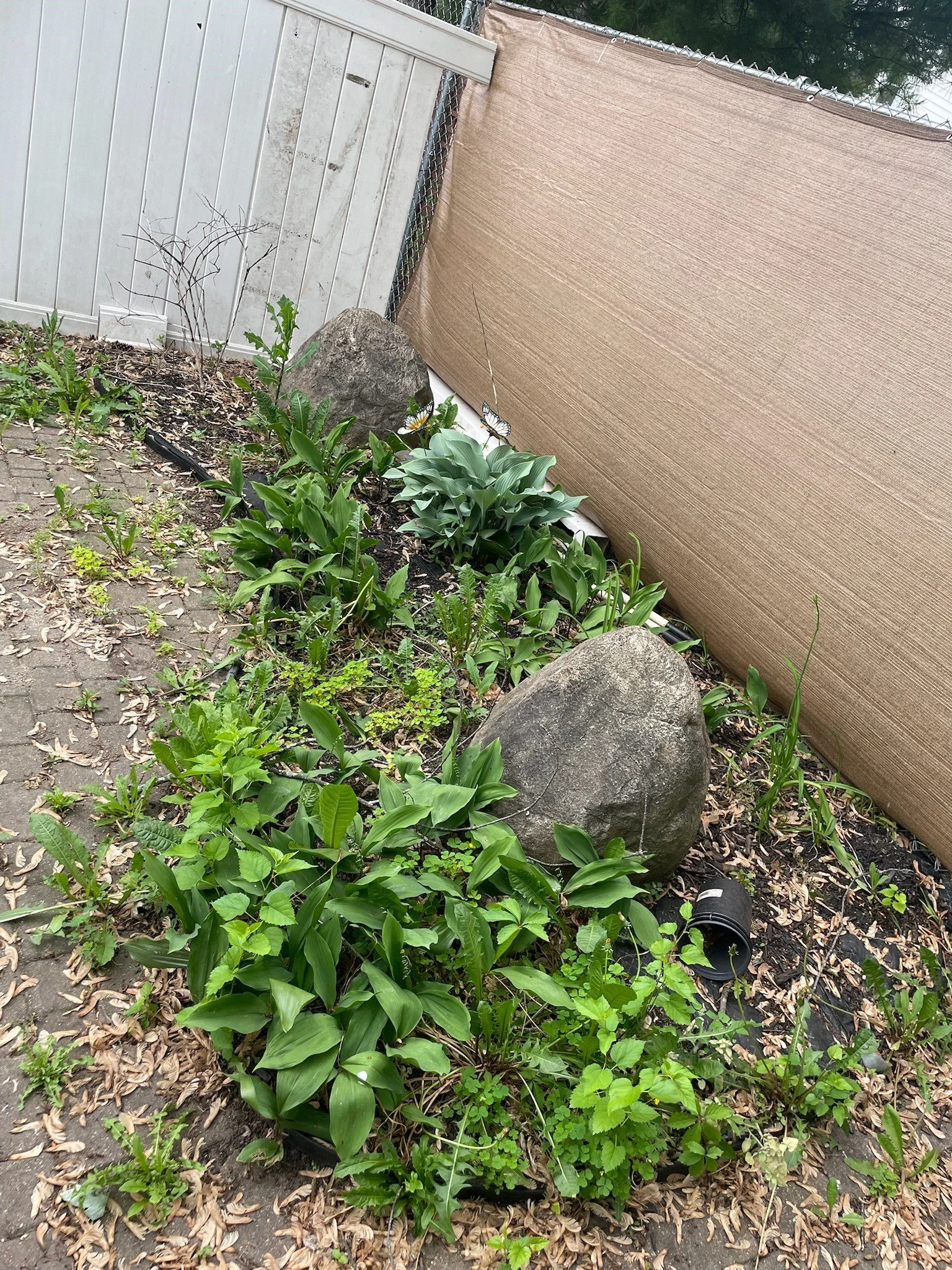 Simple Mulch Before.jpg