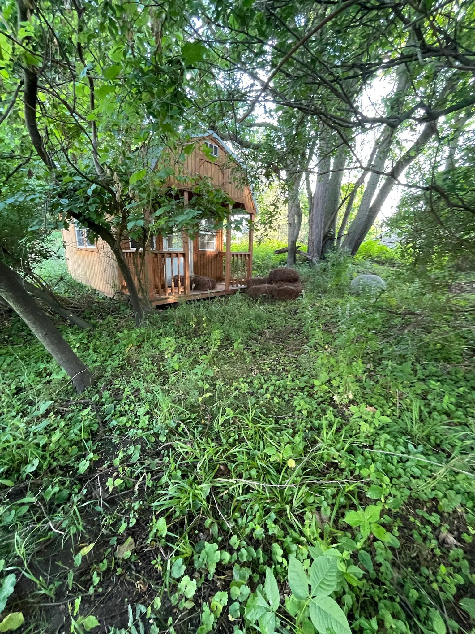 Pathway install Before.JPG