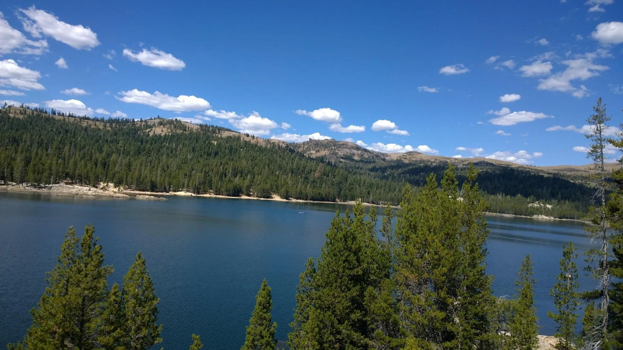 lake-alpine-bear-valley-california.jpeg
