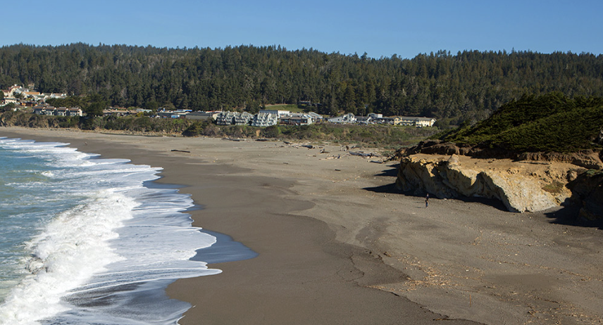 Gualala Point Regional Park Campground, California (Guide + Reviews)