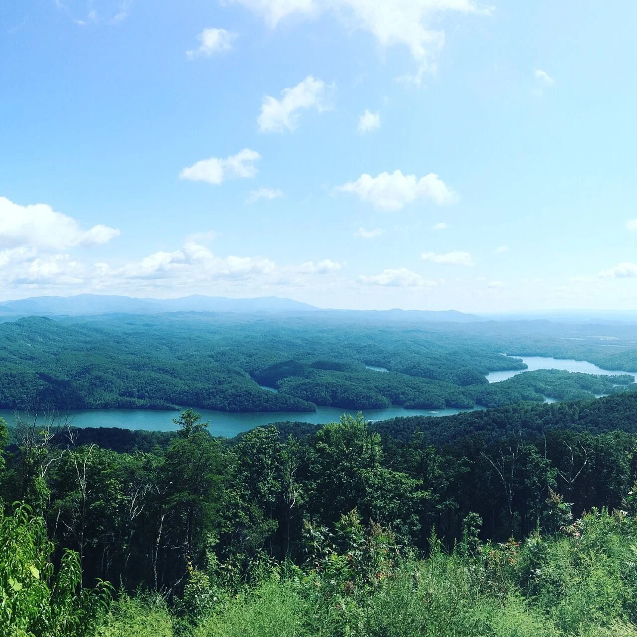 chilhowee-campground-benton-tennessee.jpeg