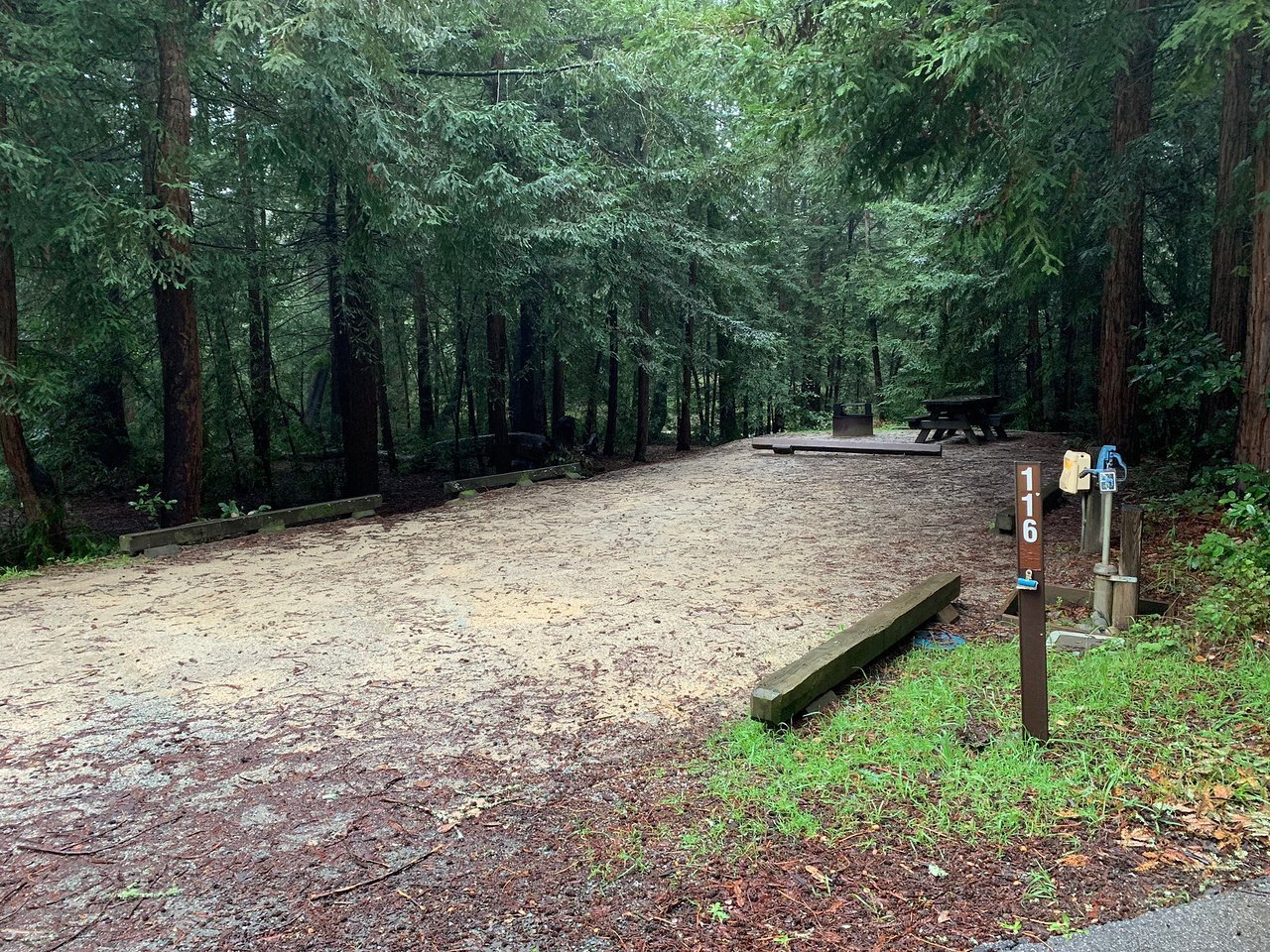 mount-madonna-county-park-watsonville-california.jpeg