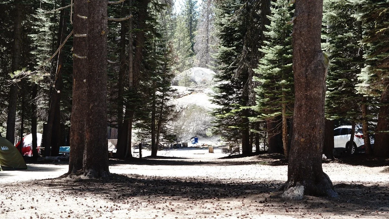 tamarack-flat-campground-yosemite-national-park-california.jpeg