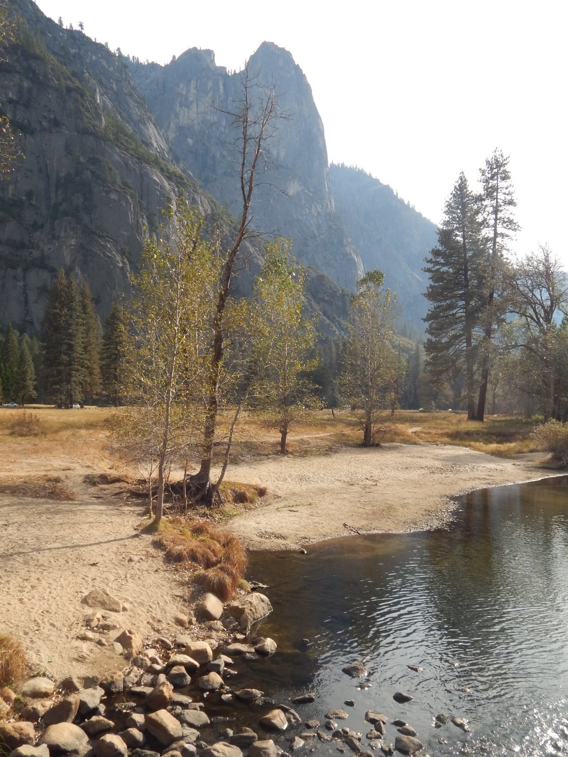 lower-pines-campground-yosemite-national-park-california.jpeg