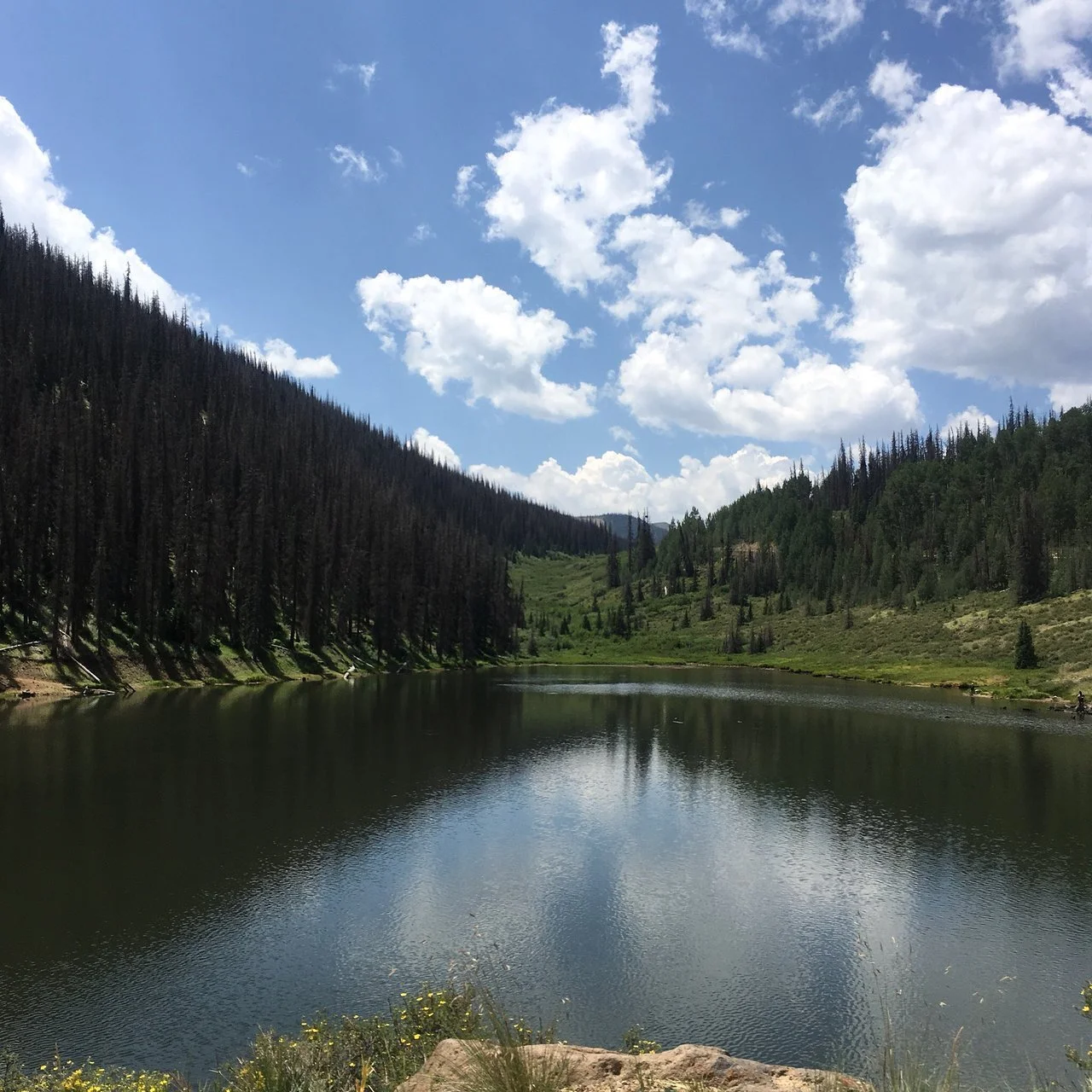 deer-lakes-campground-lake-city-colorado.jpeg
