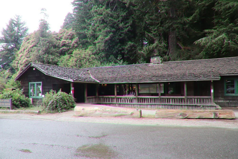 elk-prairie-campground-orick-california.jpeg