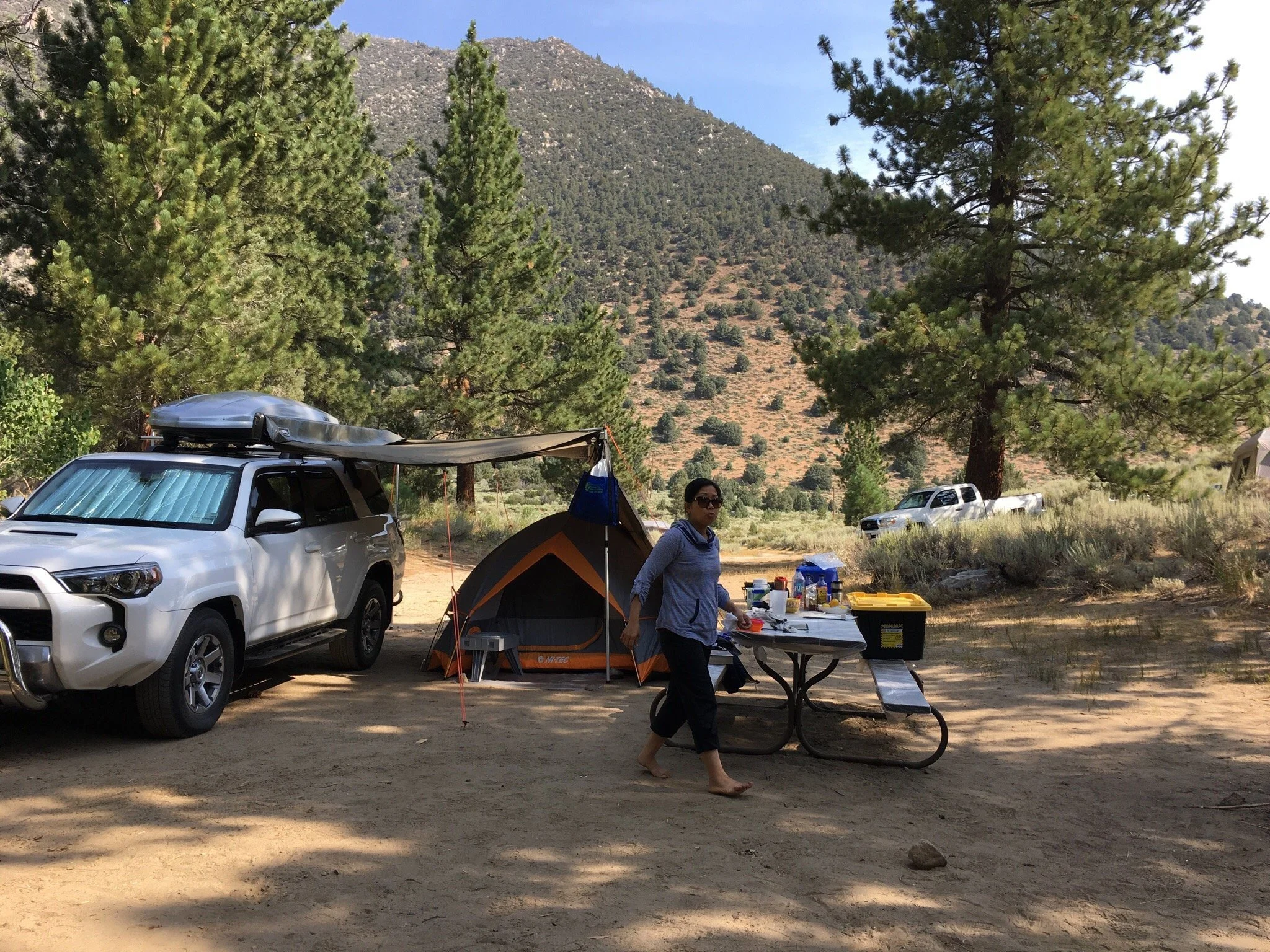 moraine-campground-lee-vining-california.jpeg