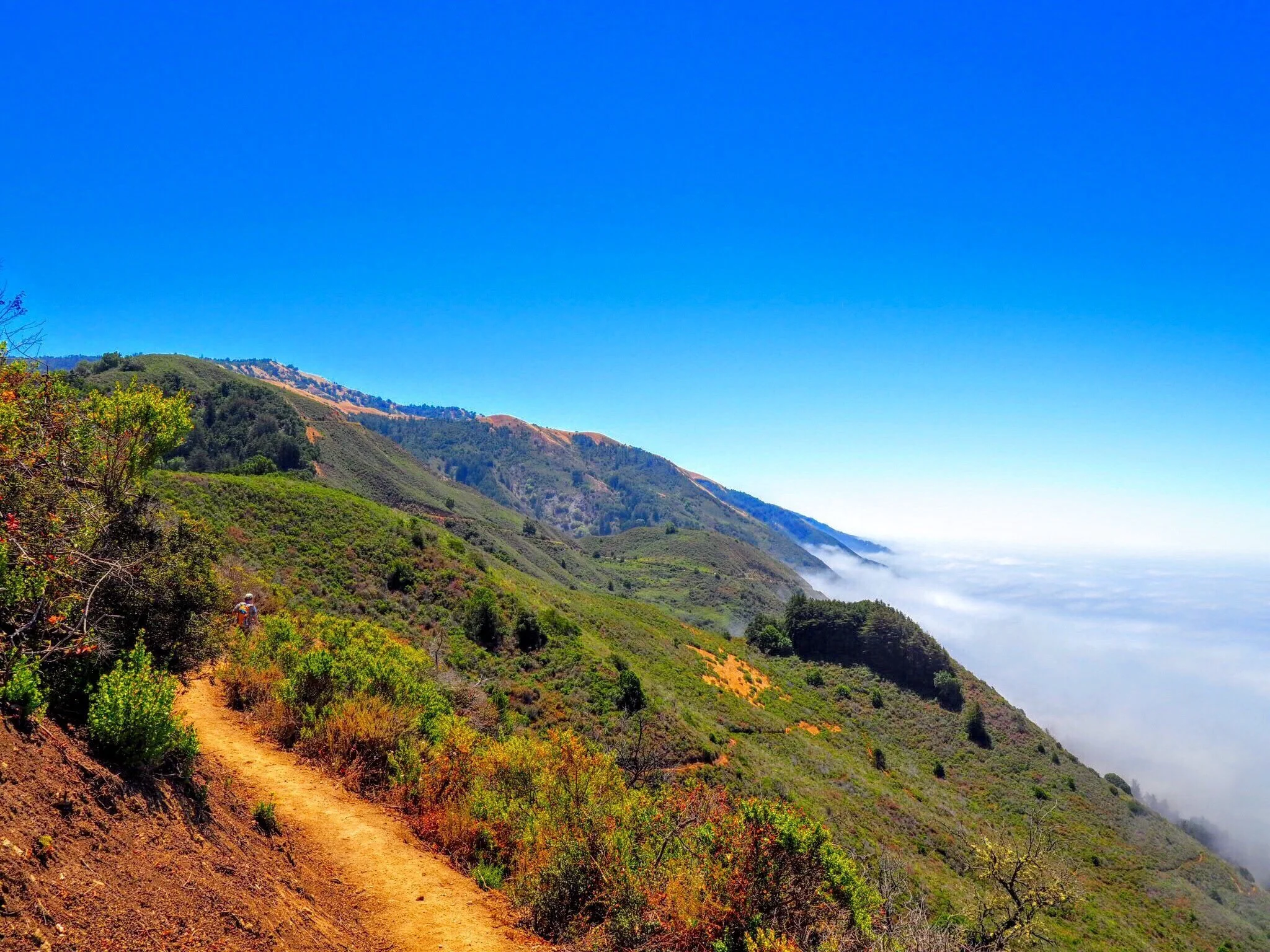 kirk-creek-campground-big-sur-california.jpeg