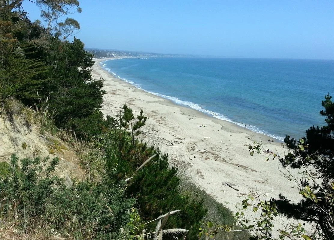 new-brighton-state-beach-capitola-california.jpeg