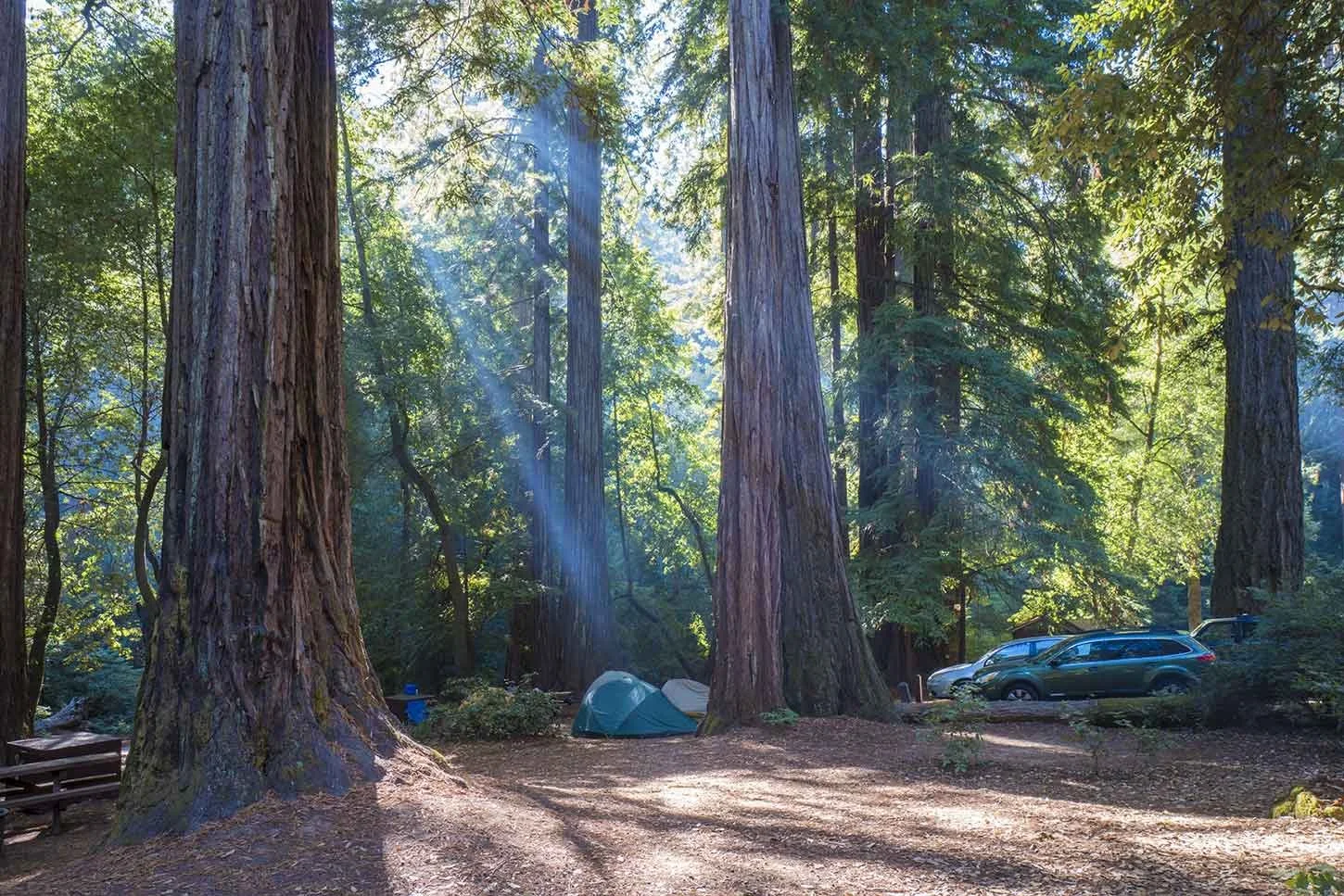 Redwood Basin Private Glampsite