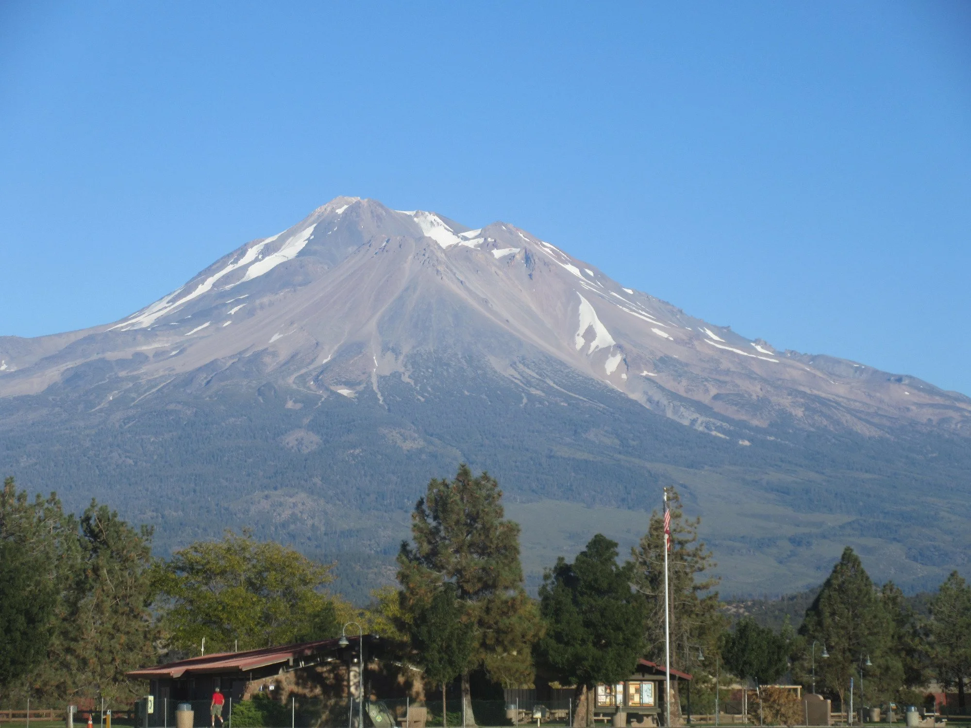 shasta-trinity-national-forest-mount-shasta-california.jpeg