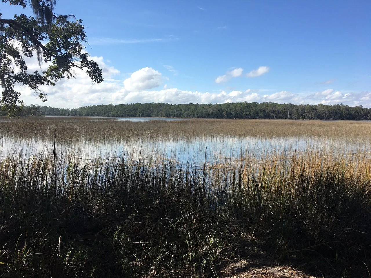 skidaway-island-state-park-savannah-georgia.jpeg