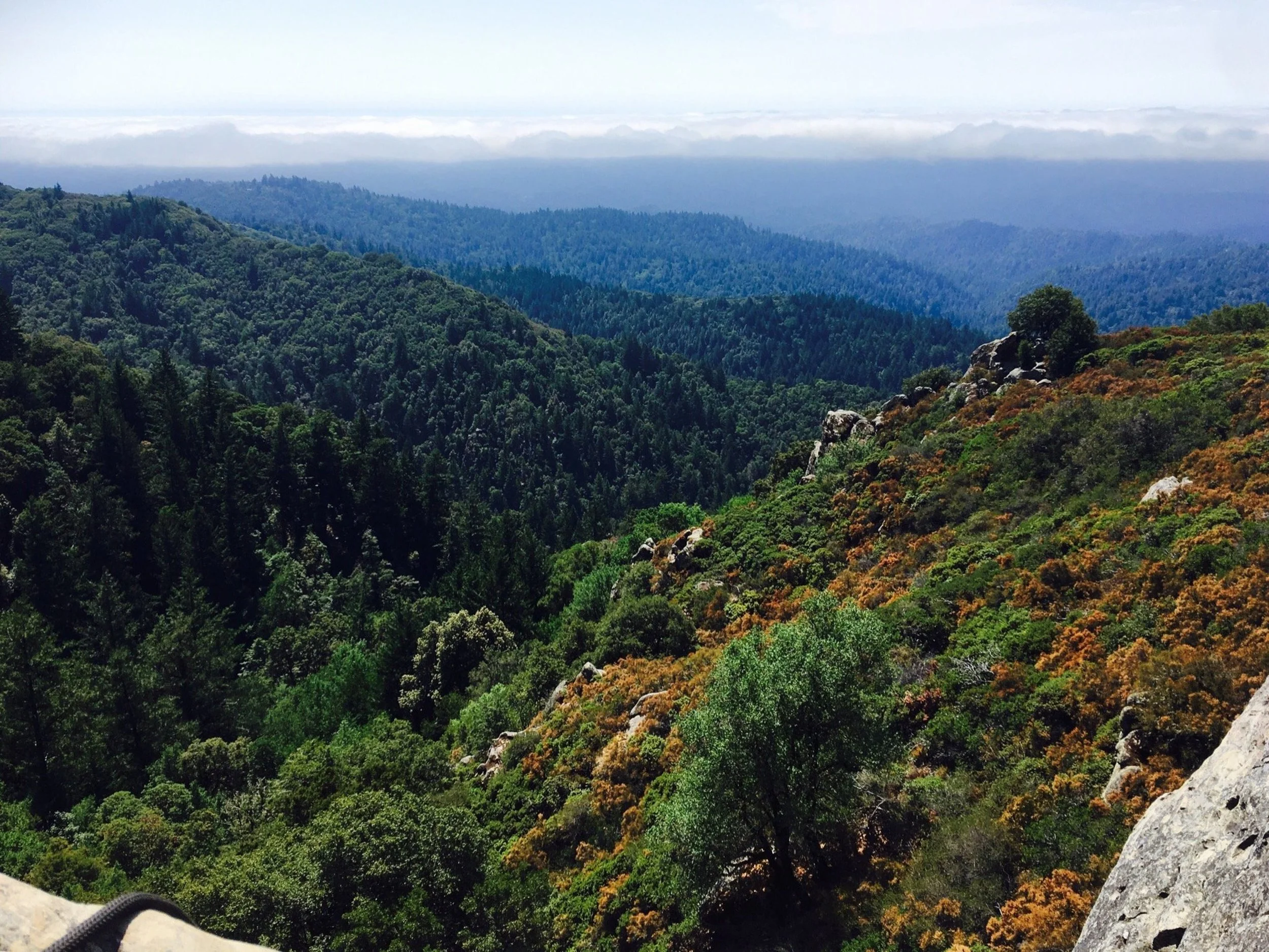 castle-rock-state-park-los-gatos-california.jpeg
