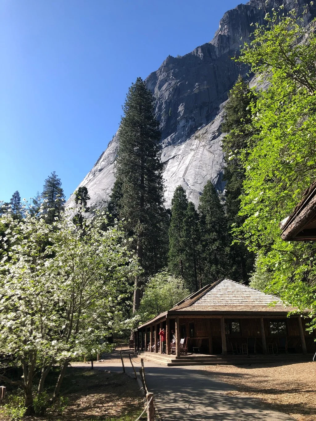 curry-village-yosemite-national-park-california.jpeg