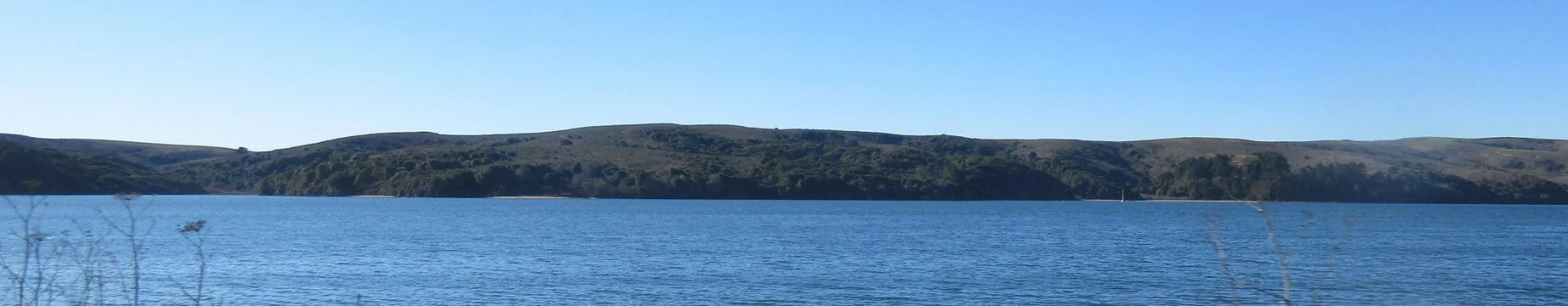 tomales-bay-state-park-inverness-california.jpeg