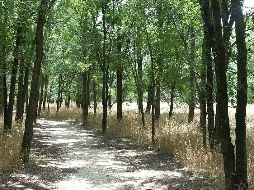 palmetto-state-park-gonzales-texas.jpeg