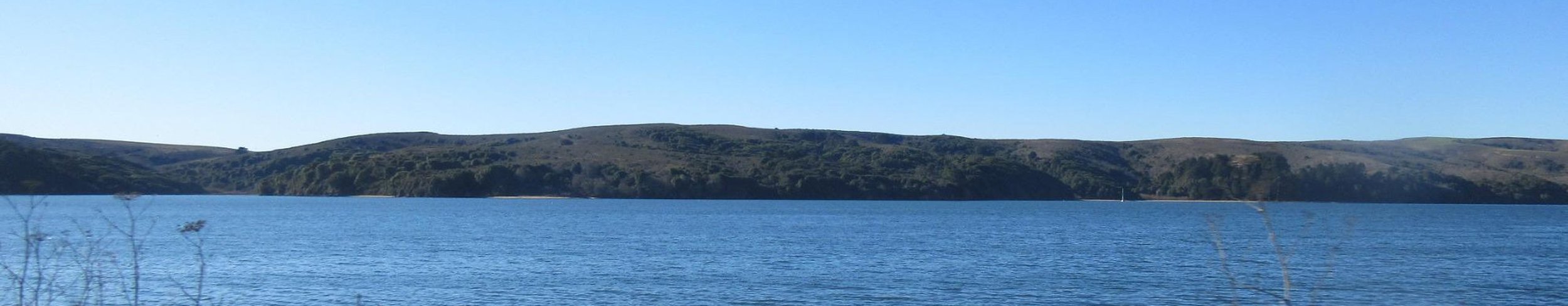tomales-bay-state-park-inverness-california.jpeg