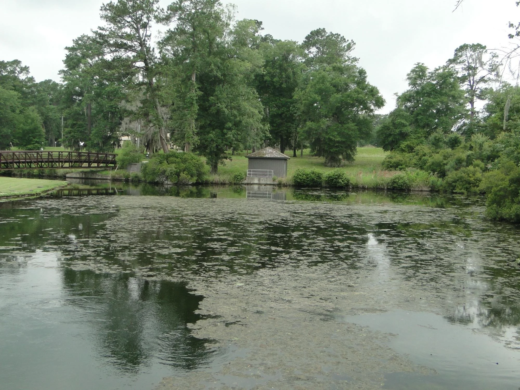 magnolia-springs-park-millen-georgia.jpeg