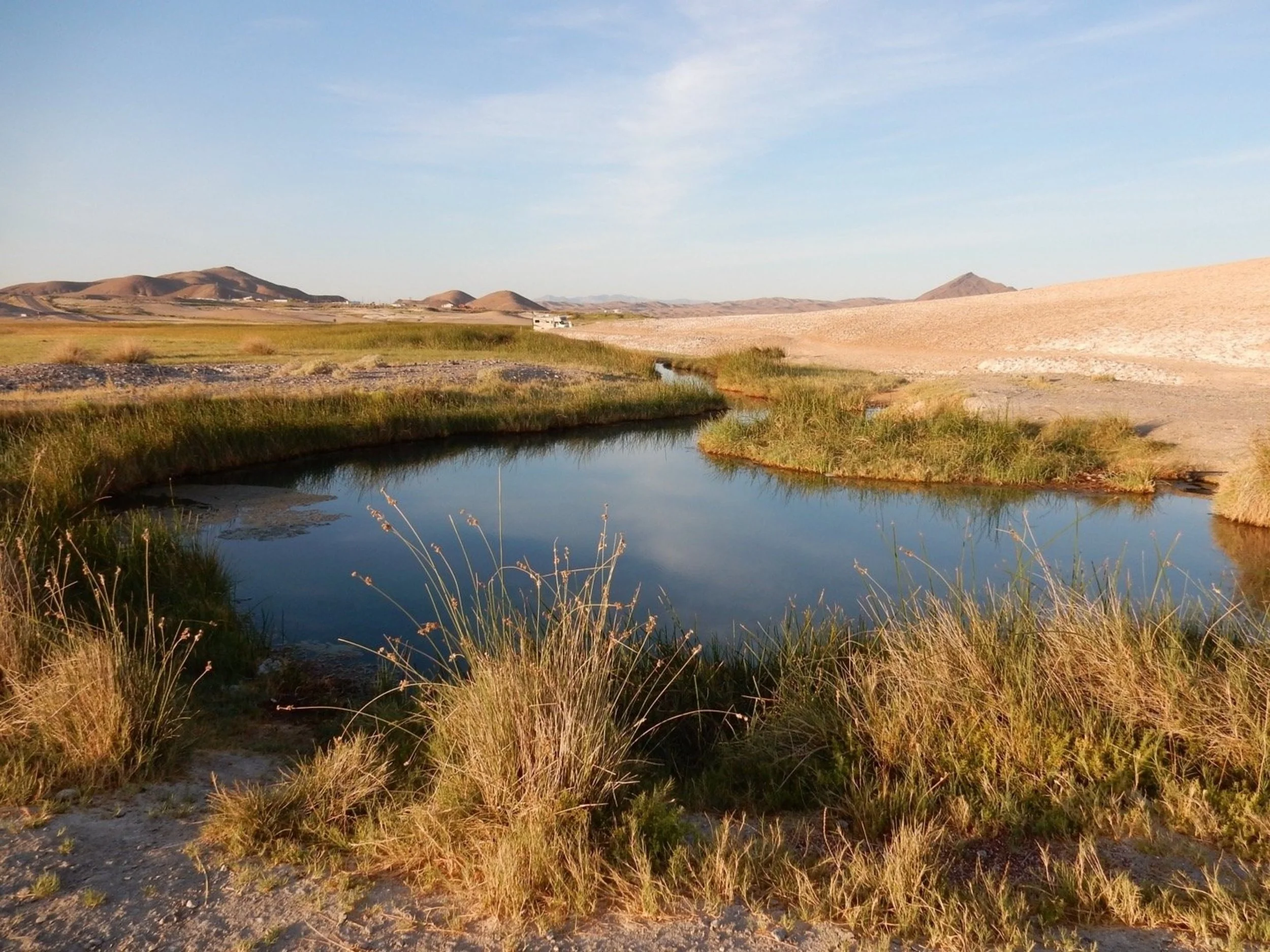 tecopa-hot-springs-tecopa-california.jpeg