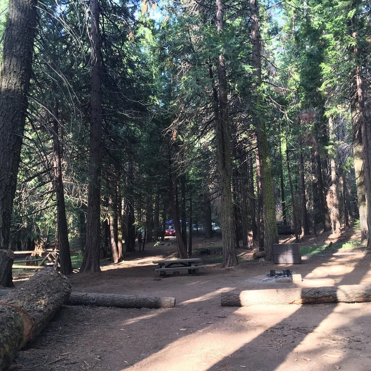 kelty-meadow-campground-oakhurst-california.jpeg