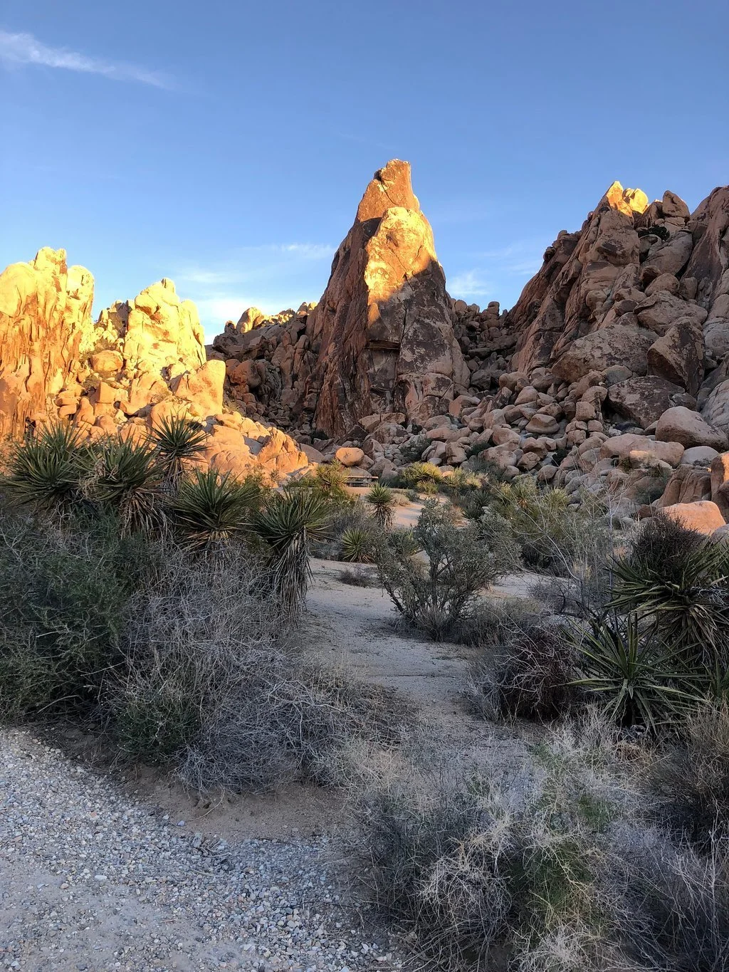 indian-cove-campground-joshua-tree-national-park-california.jpeg