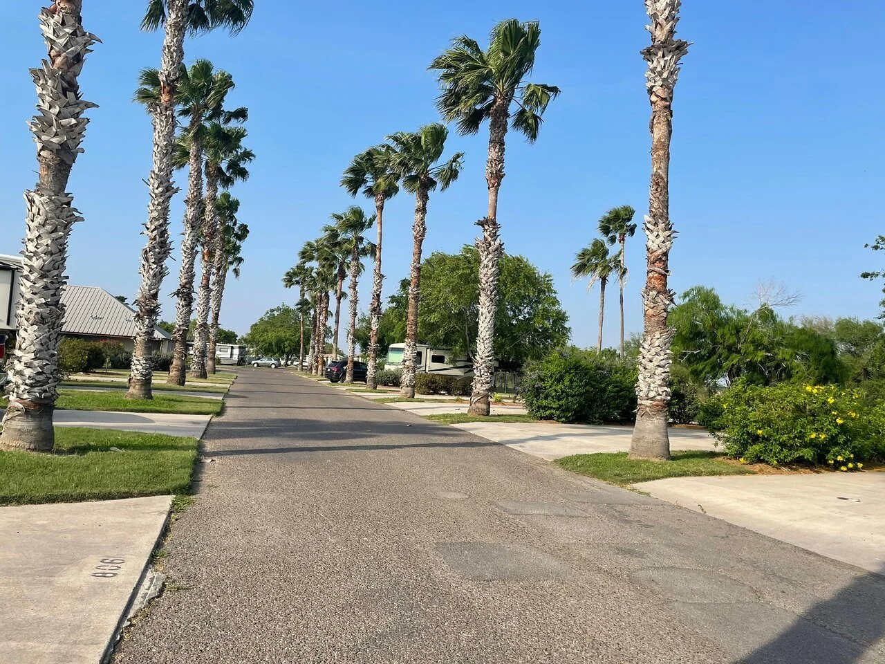 bentsen-palm-village-rv-resort-mission-texas.jpeg