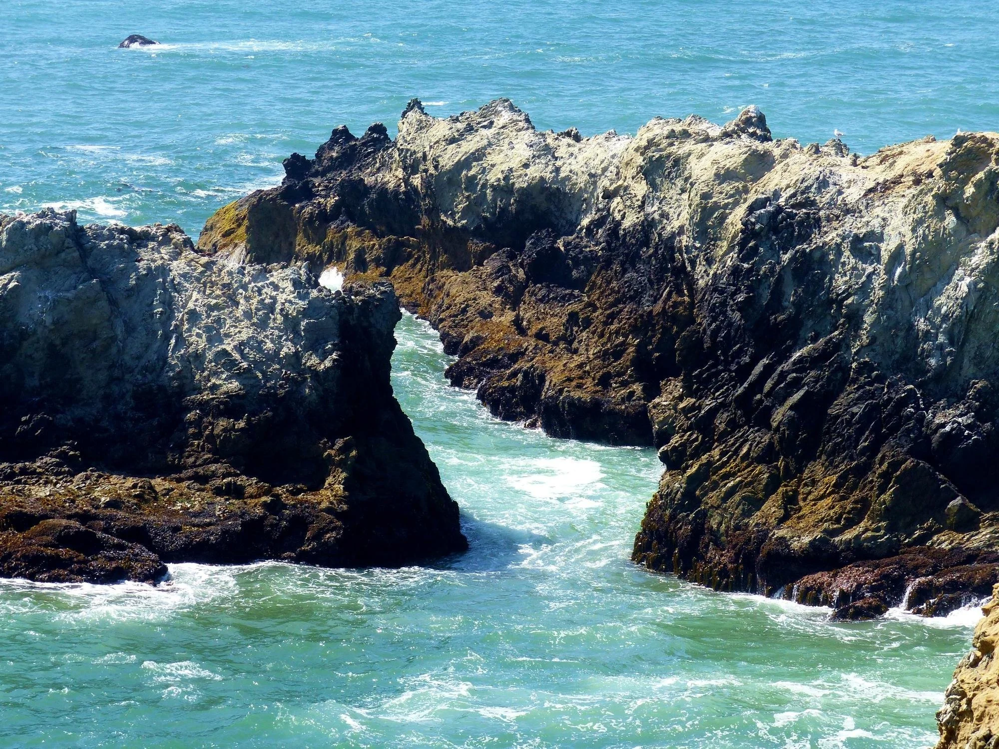 sonoma-coast-state-beach-bodega-bay-california.jpeg